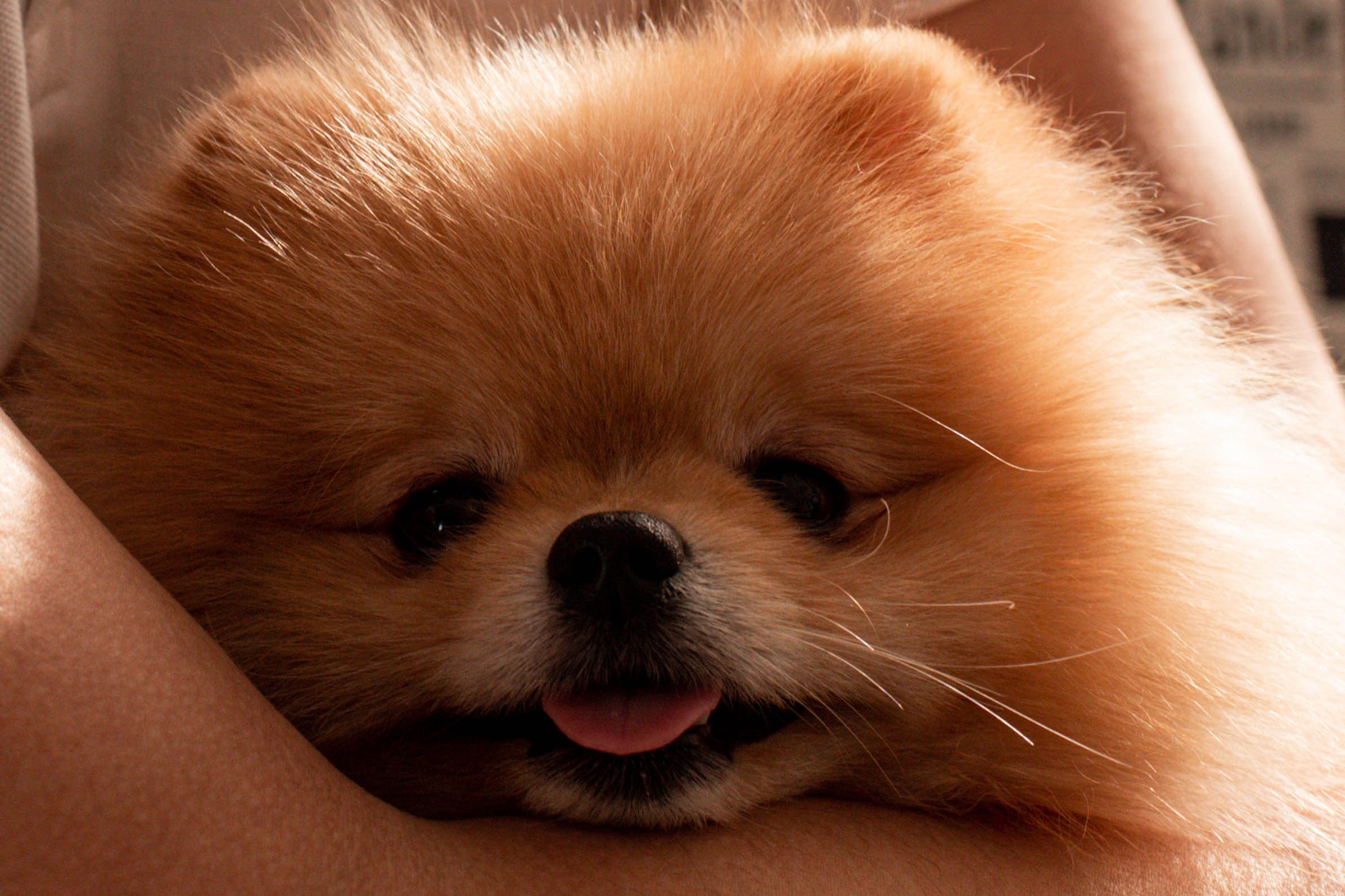 Екатерина с семьей. Репортажный фотограф в Тюмени Татьяна Мужева