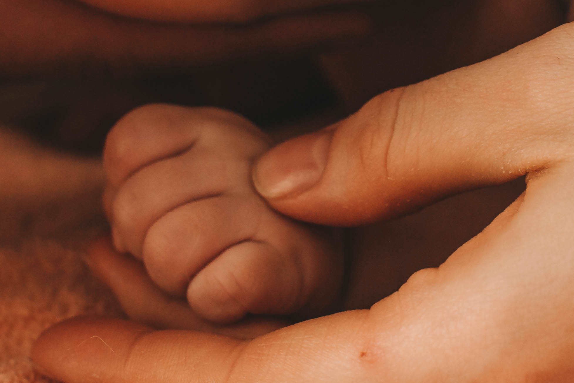 Екатерина с семьей. Репортажный фотограф в Тюмени Татьяна Мужева