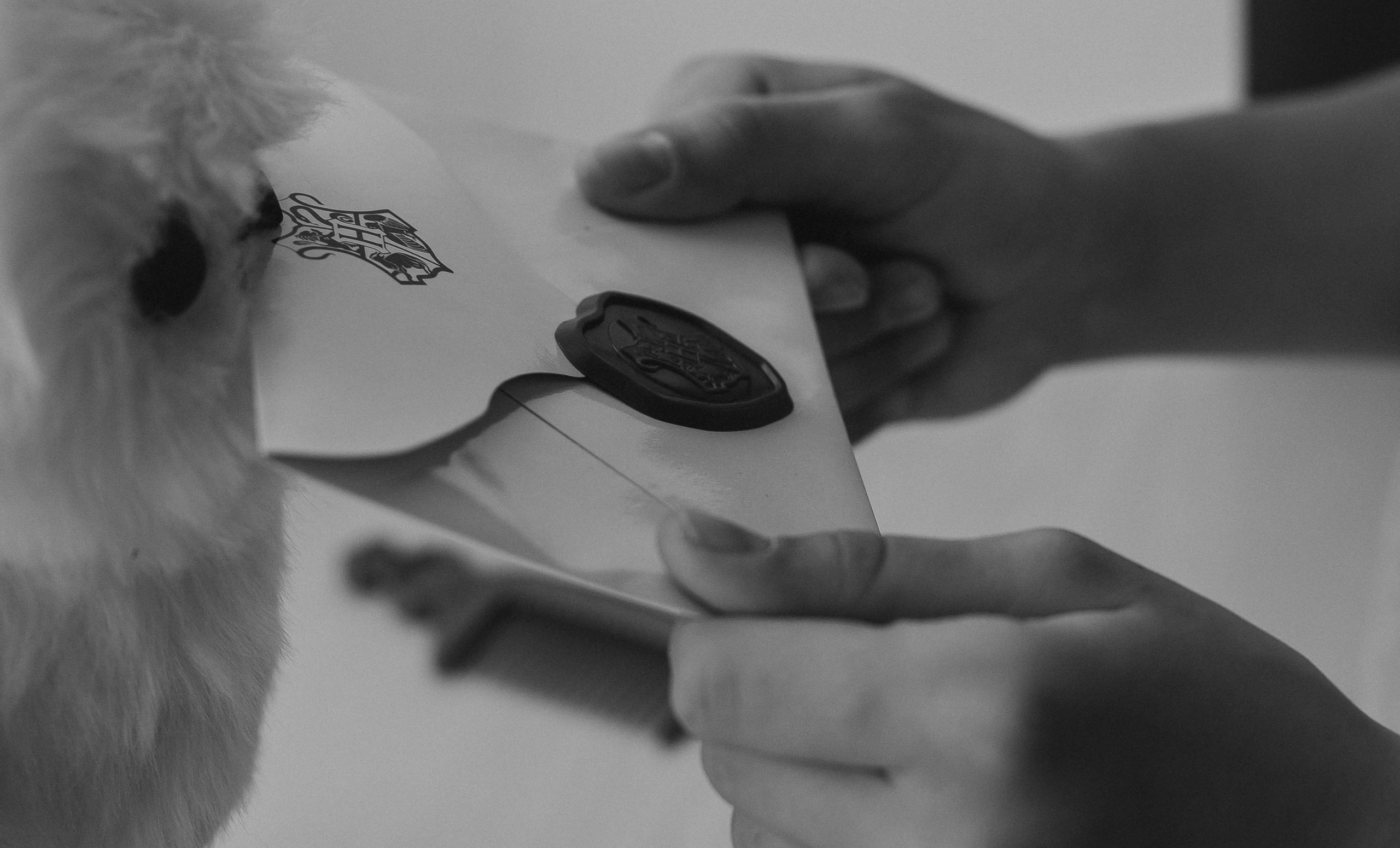 Ася с семьей. Репортажный фотограф в Тюмени Татьяна Мужева