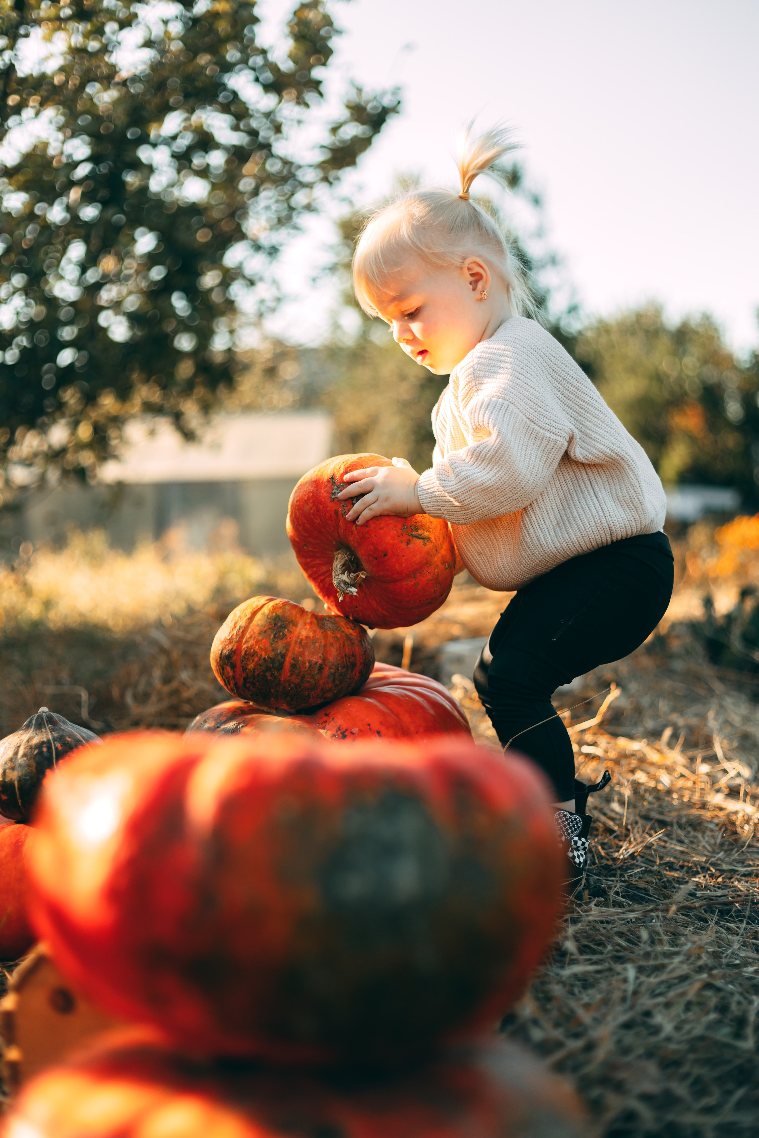 Детская фотосессия в тыквах. Свадебный и семейный фотограф в Краснодарском крае Мария Данилкина