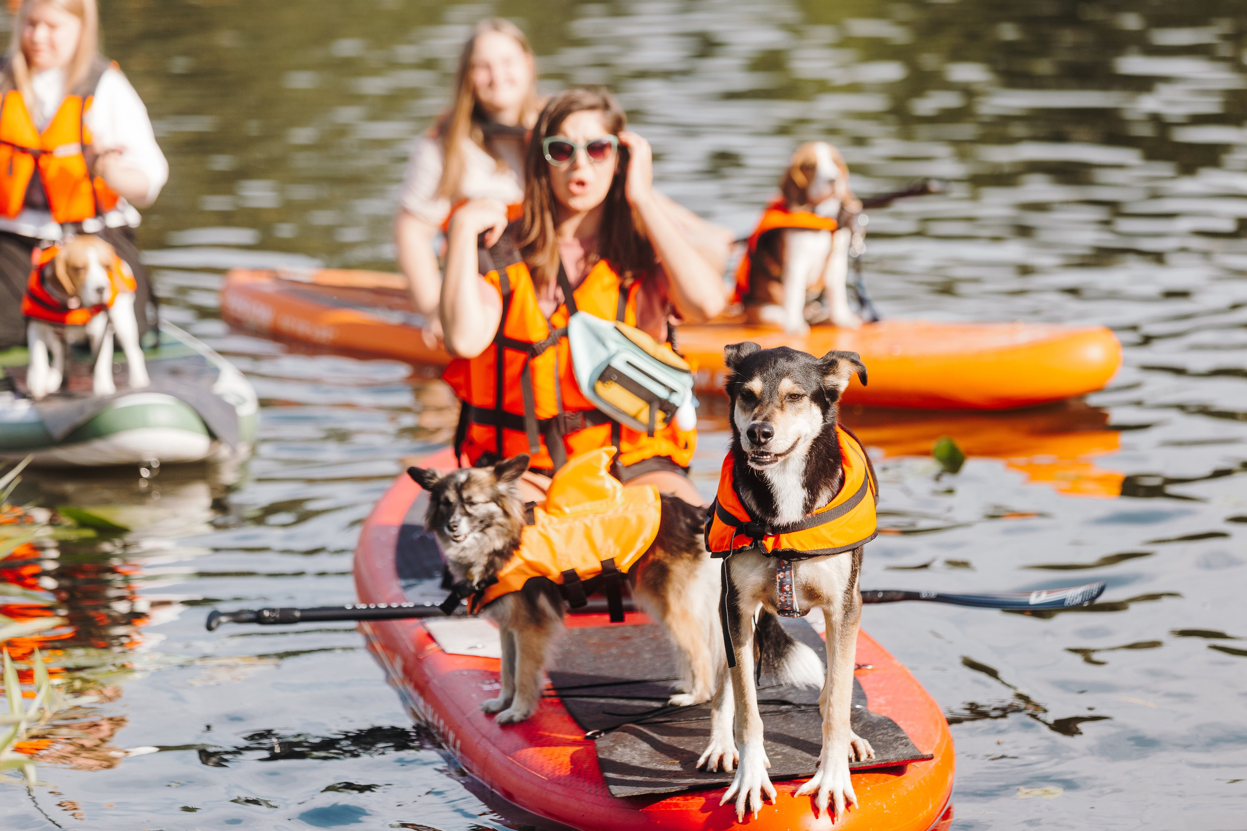 Petshop Sup day. Фотограф анималист Кристина Карпова, Москва