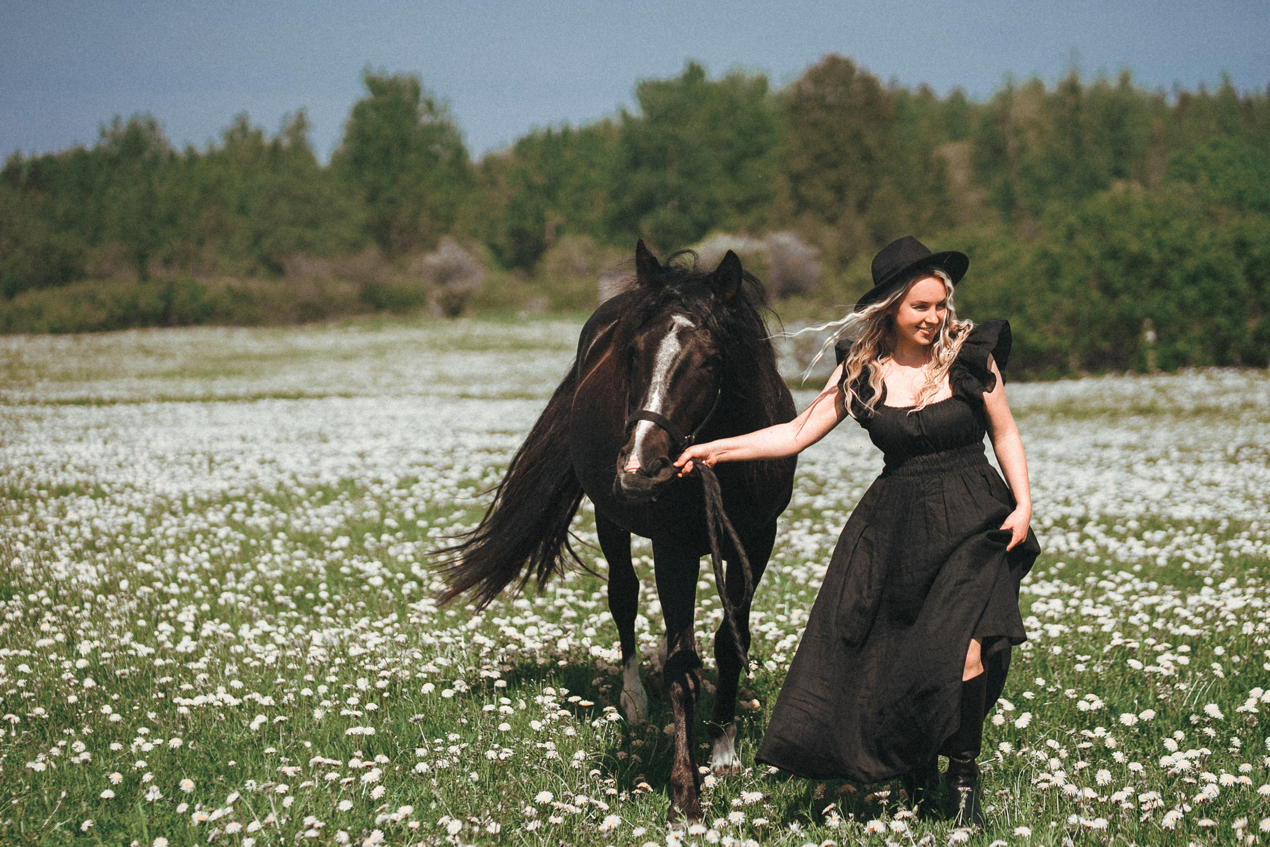 Конные. Главная