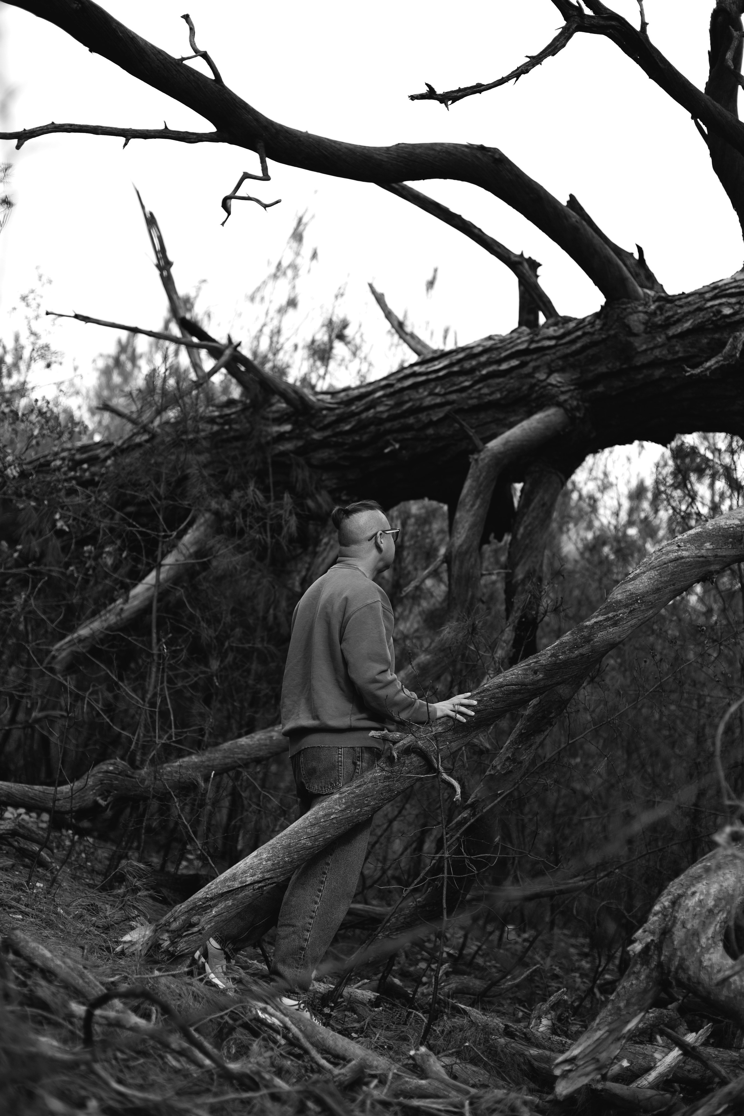 Кирилл Вахитов. Анастасия Либерти