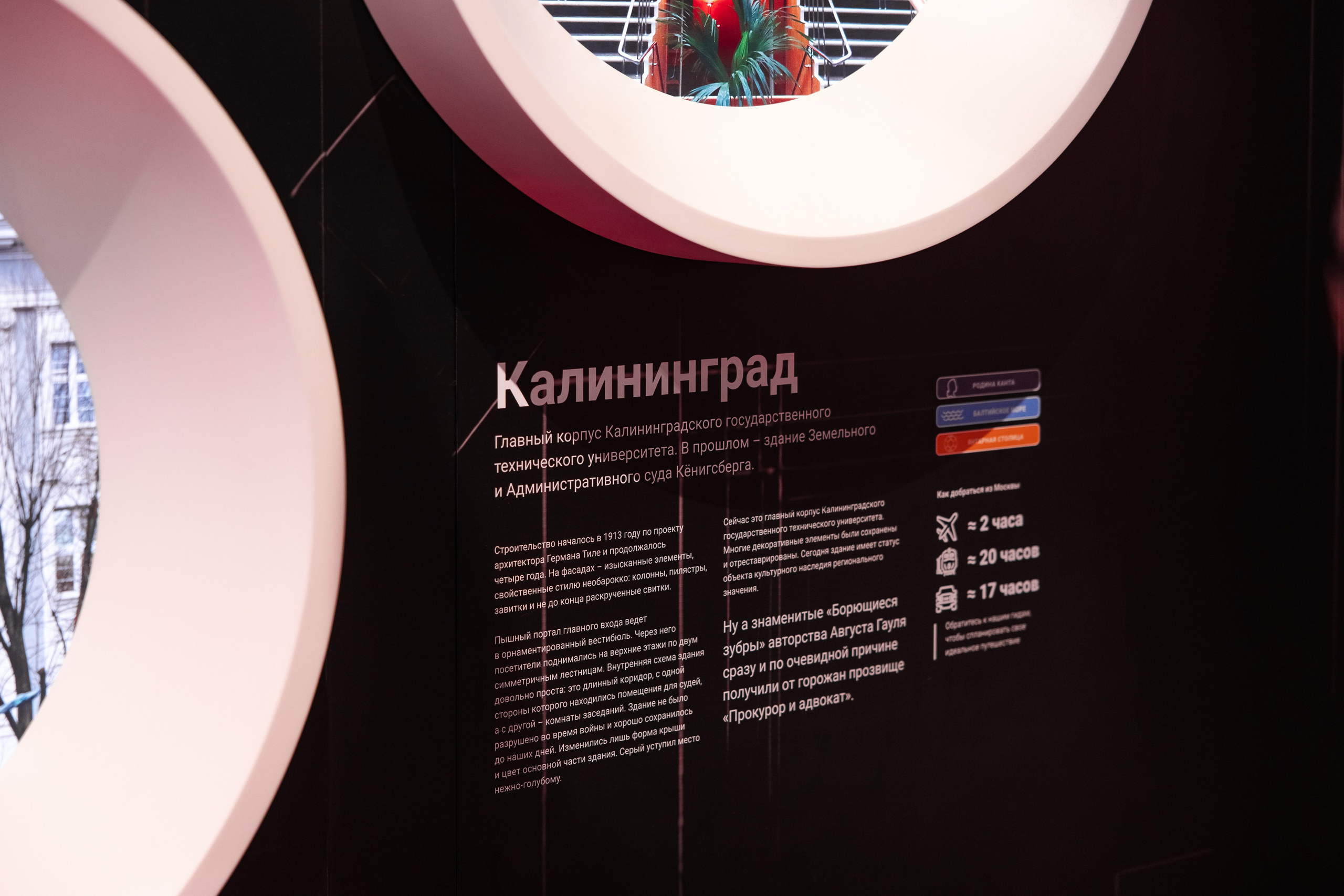 Выставка Россия: наша культура. Свадебный репортажный фотограф в Москве