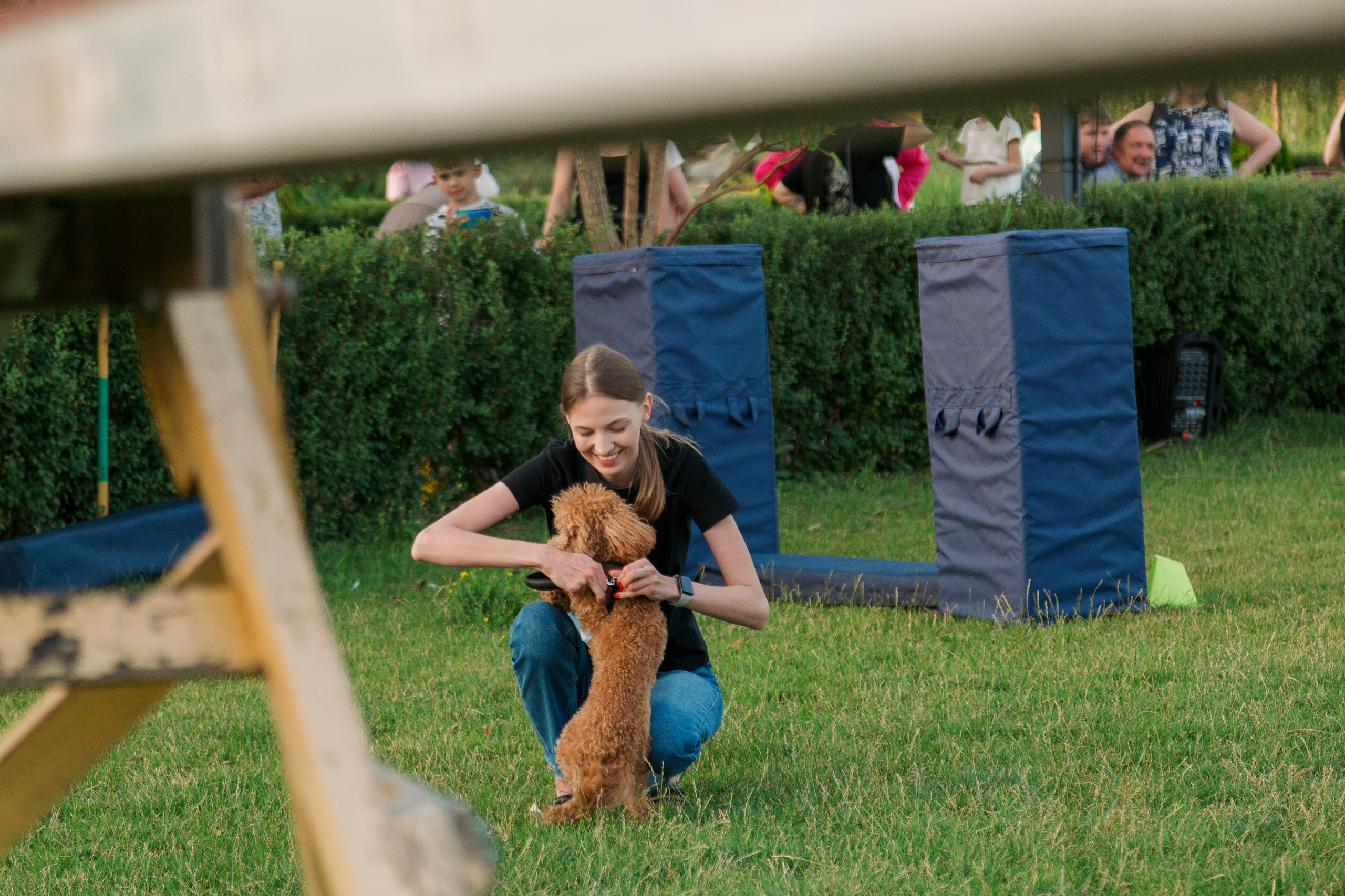 Dog Fest 2024. Главная