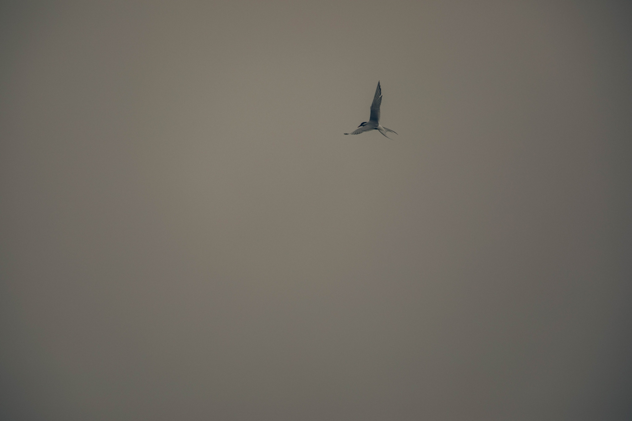 Кольский полуостров. Фотографирую для себя, своей семьи и друзей!