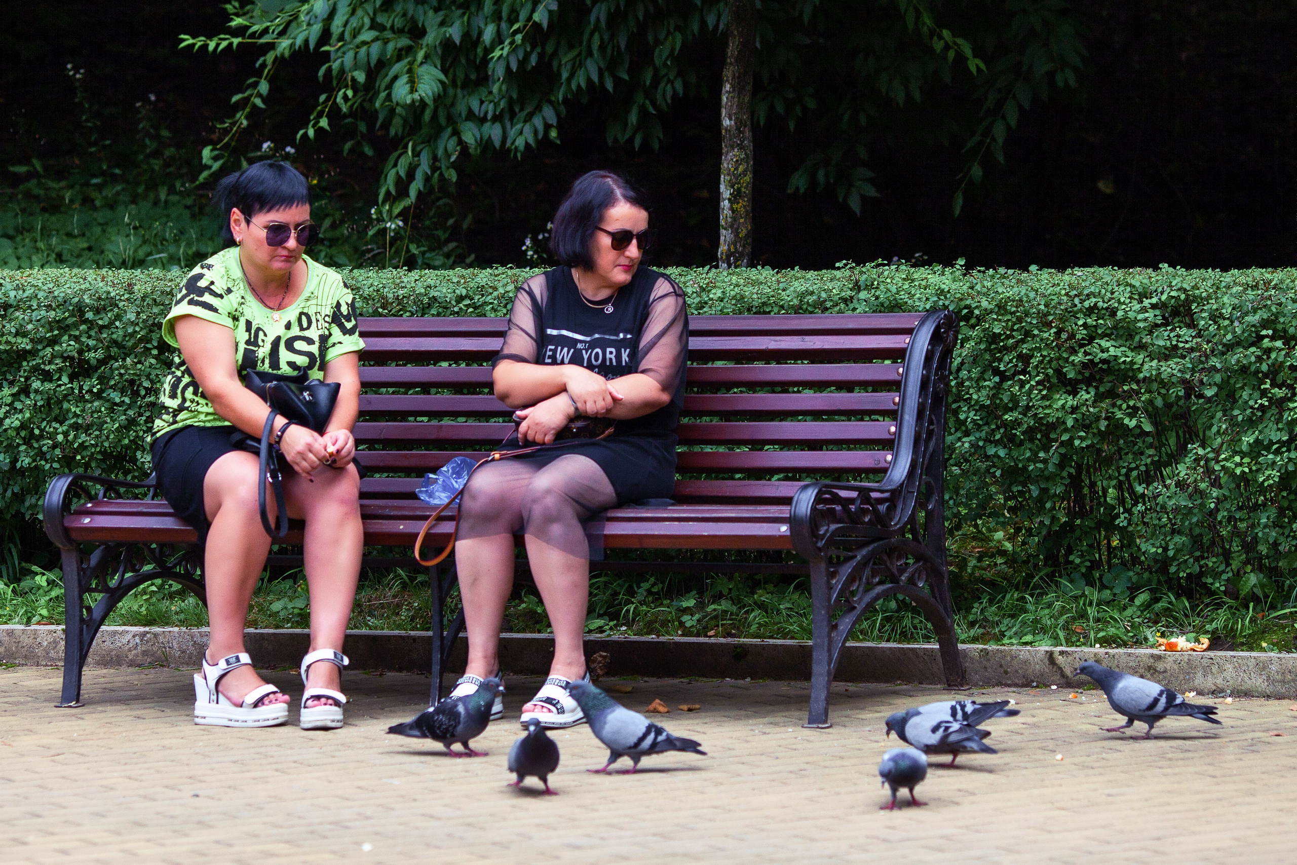 Мы в своём городе. Медиапродюсер, фотограф в Минеральных Водах —Виктор Холодов