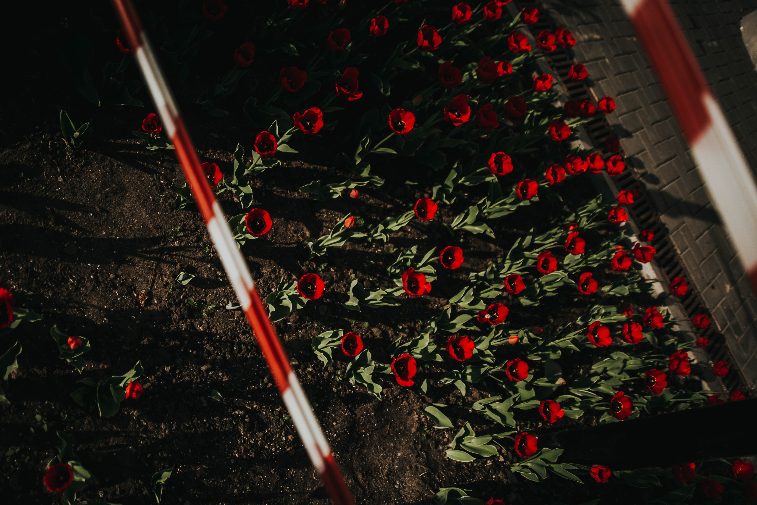 Казань. Йошкар- Ола. Чебоксары. 2023. Фотограф в Нижнем Новгороде