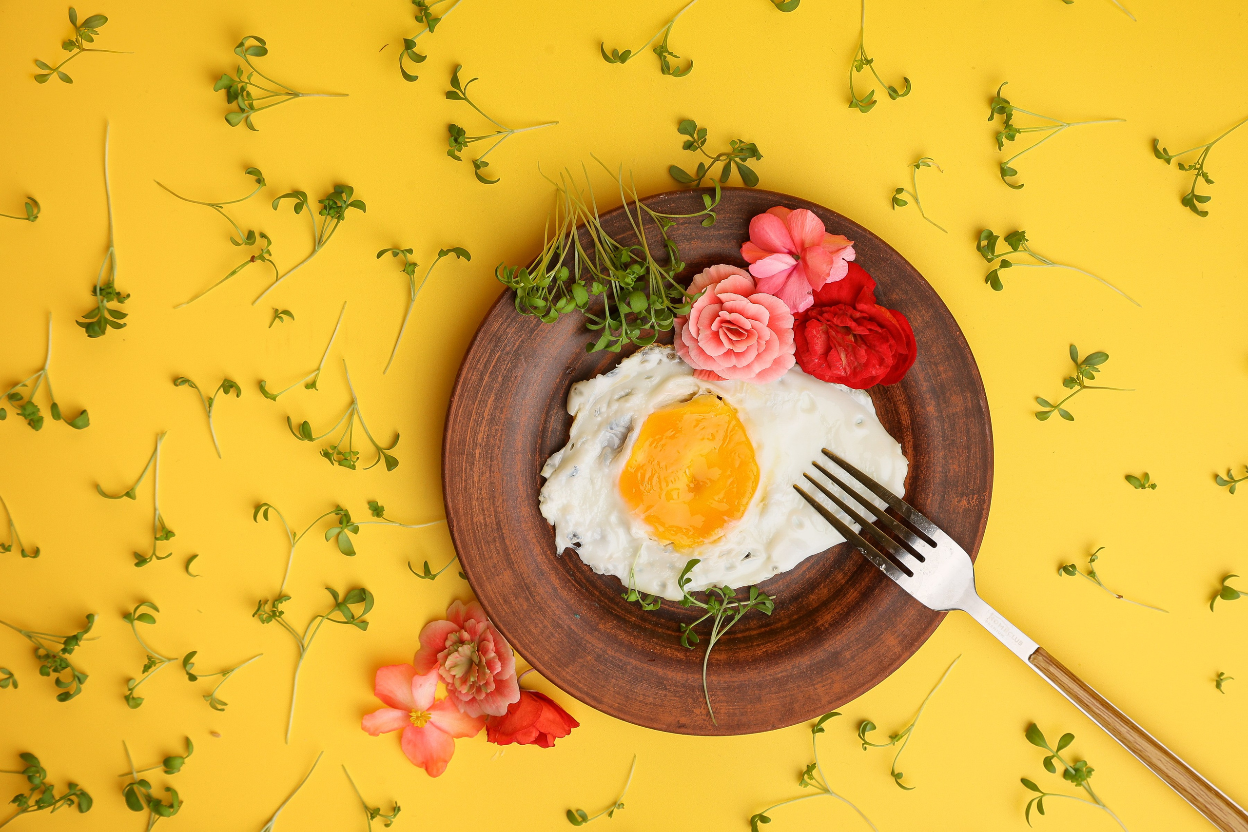 Портфолио. Предметная съемка