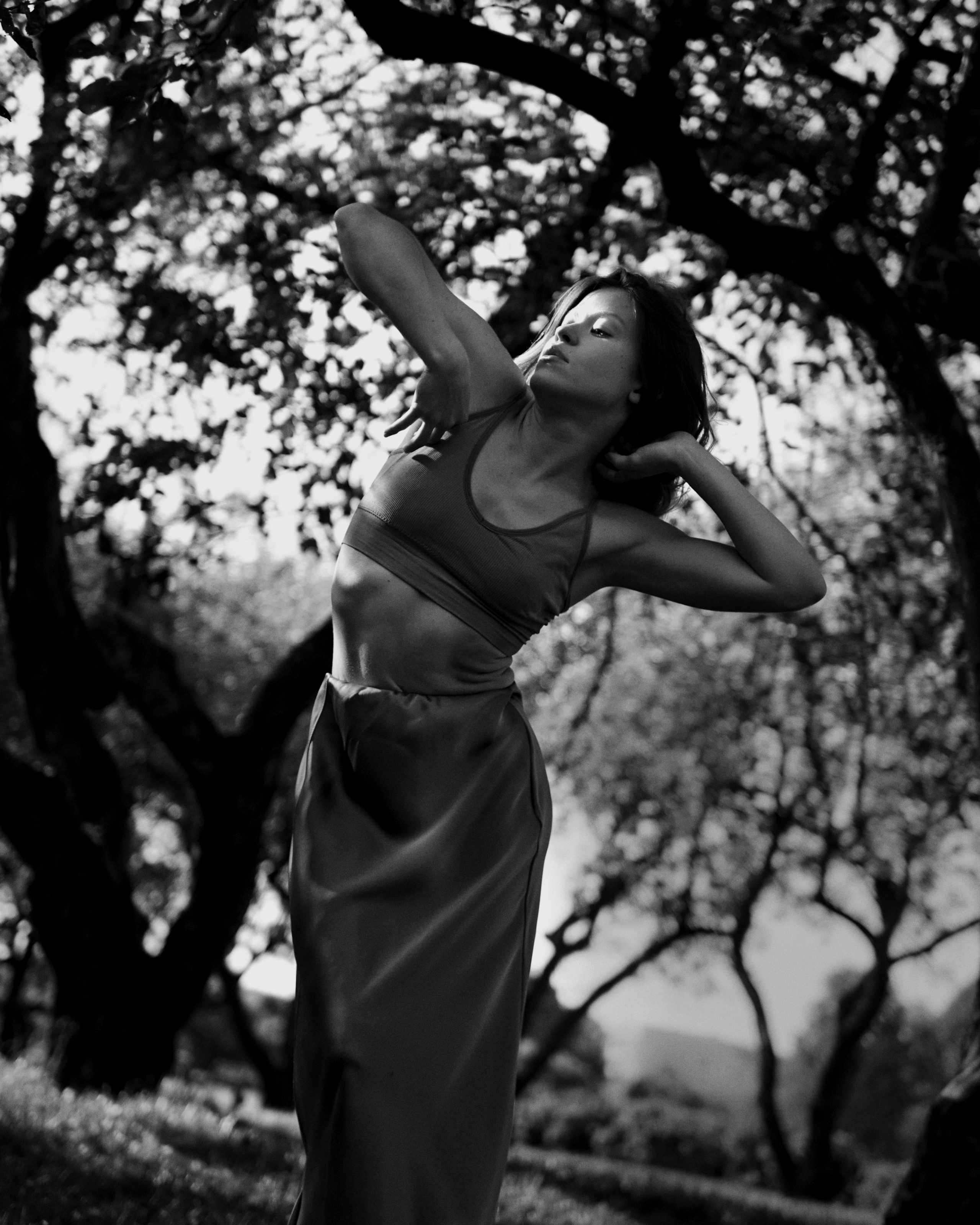 Dancing in the shade of trees