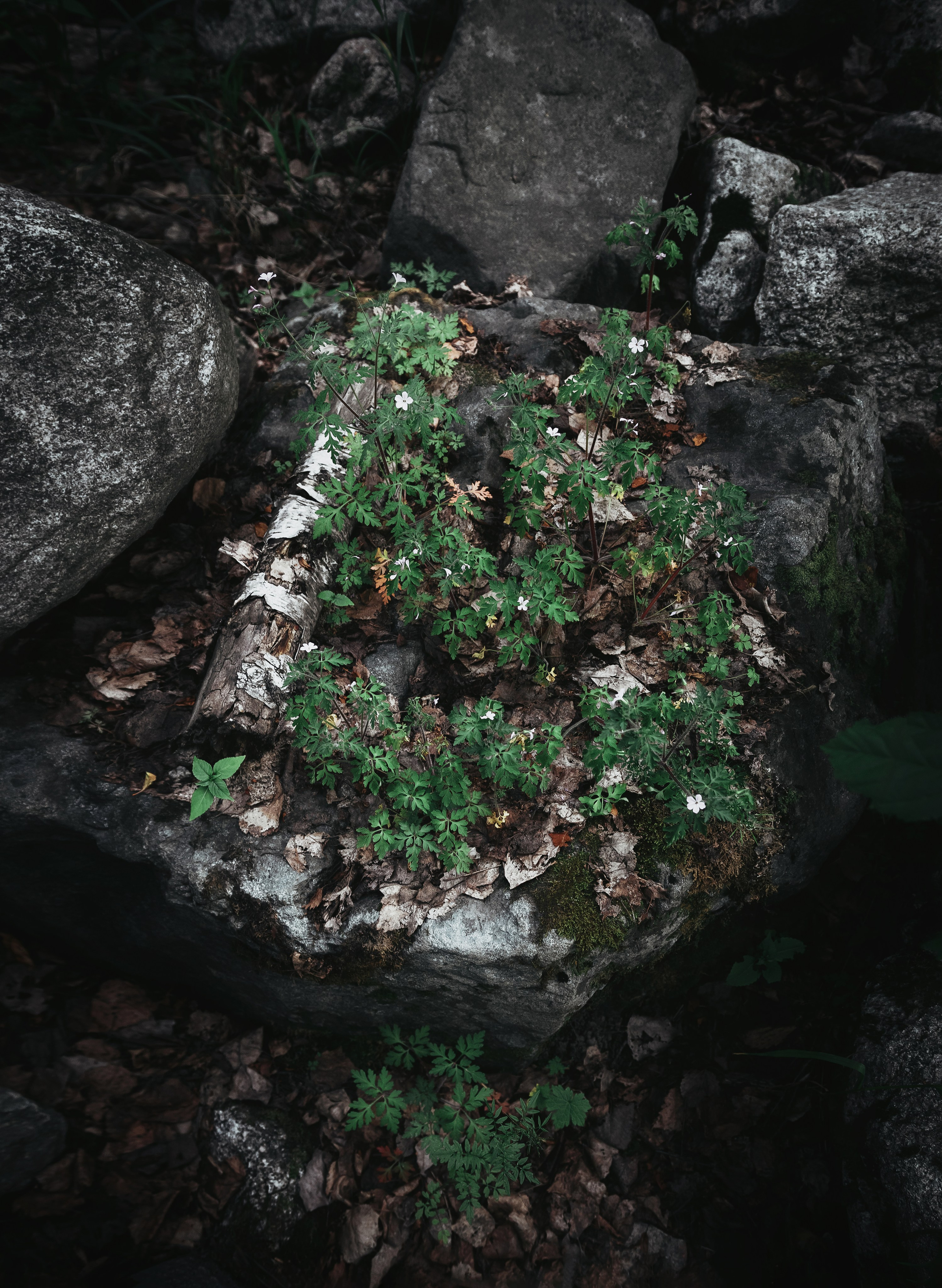 Жизнь. Фотограф Алматы | Весь мир — Никита Колодин