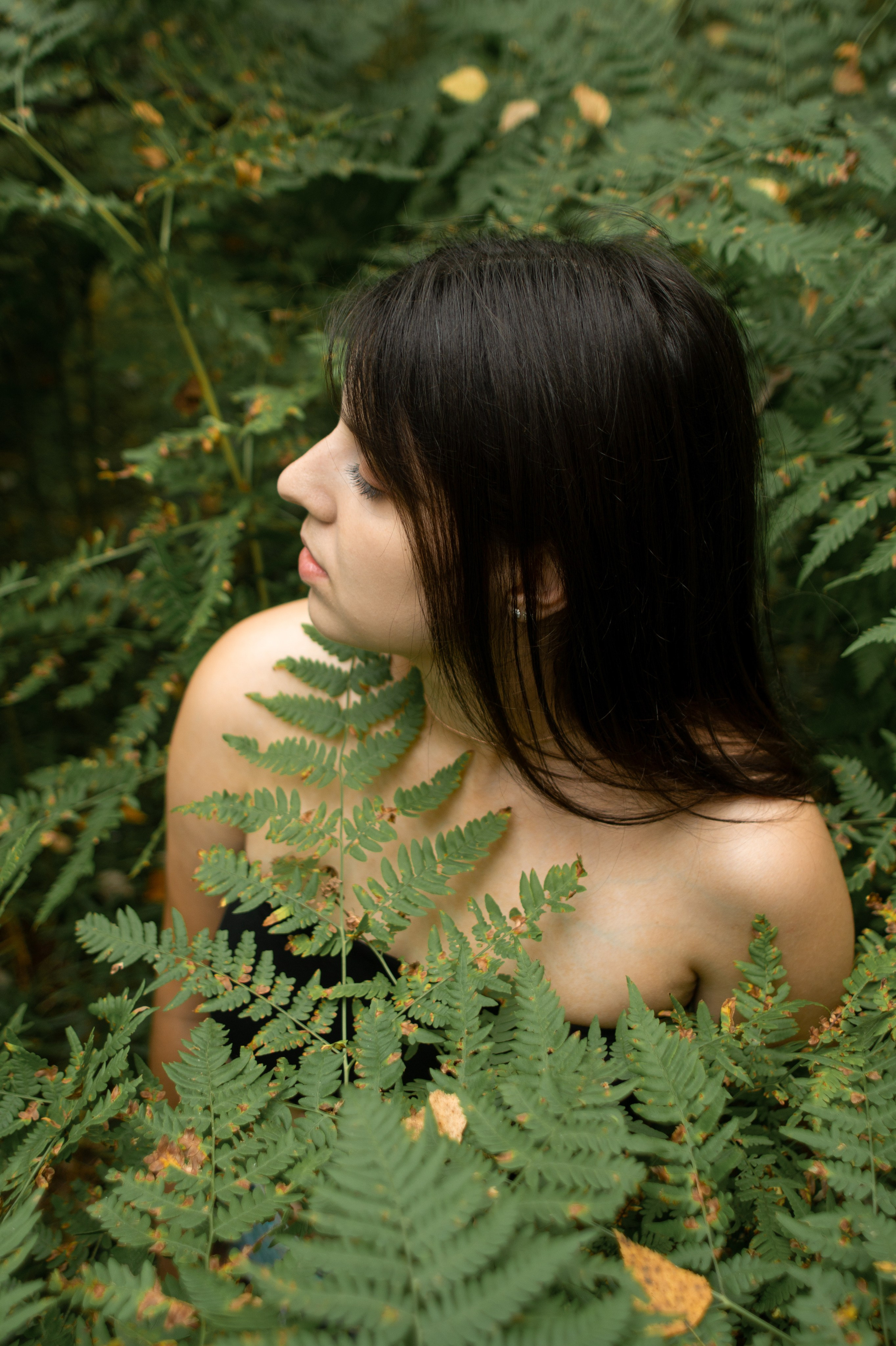 Папоротник. Фотограф Москва