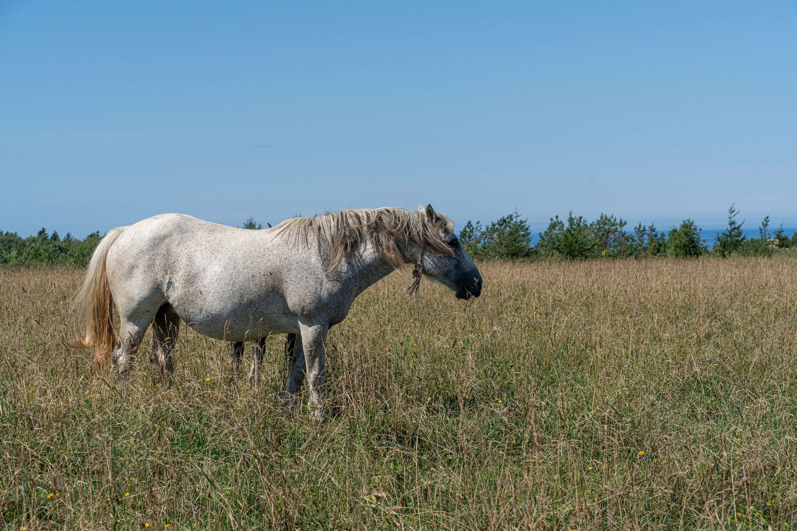 Сахалин 2025. Творческие сьемки