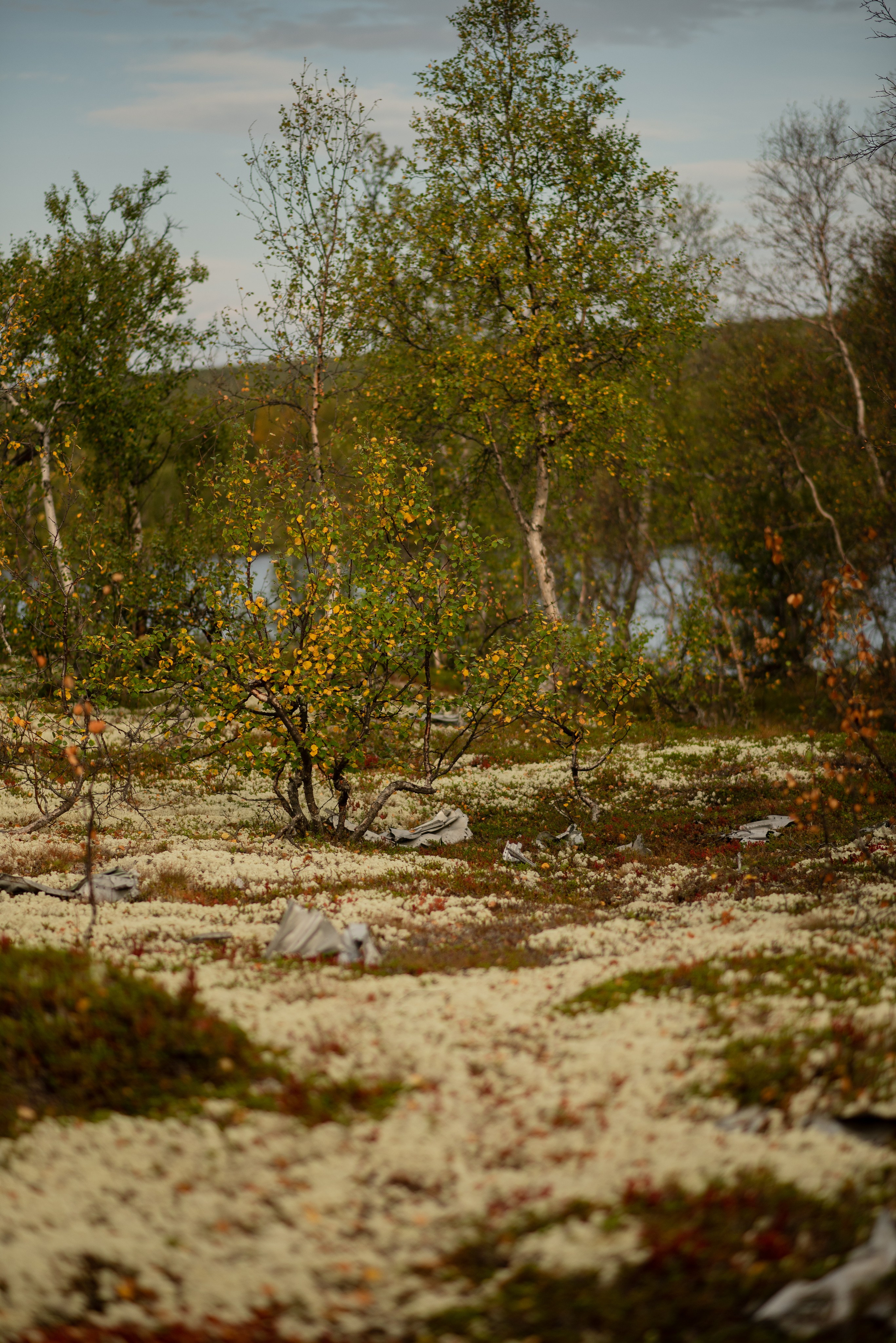 Заполярье. Мурманская область. Поселок Луостари. Река Титовка. Озеро Вайявр. Гора Нармвара. 18–28 августа 2024 г. Юлия Щёкотова | Портретный и семейный фотограф | Вологда