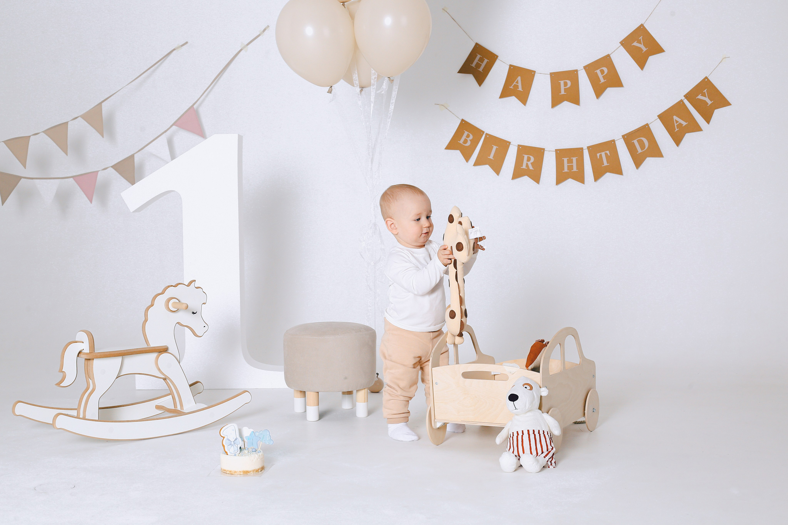 1 годик Льву. Фотограф Анастасия Залевская