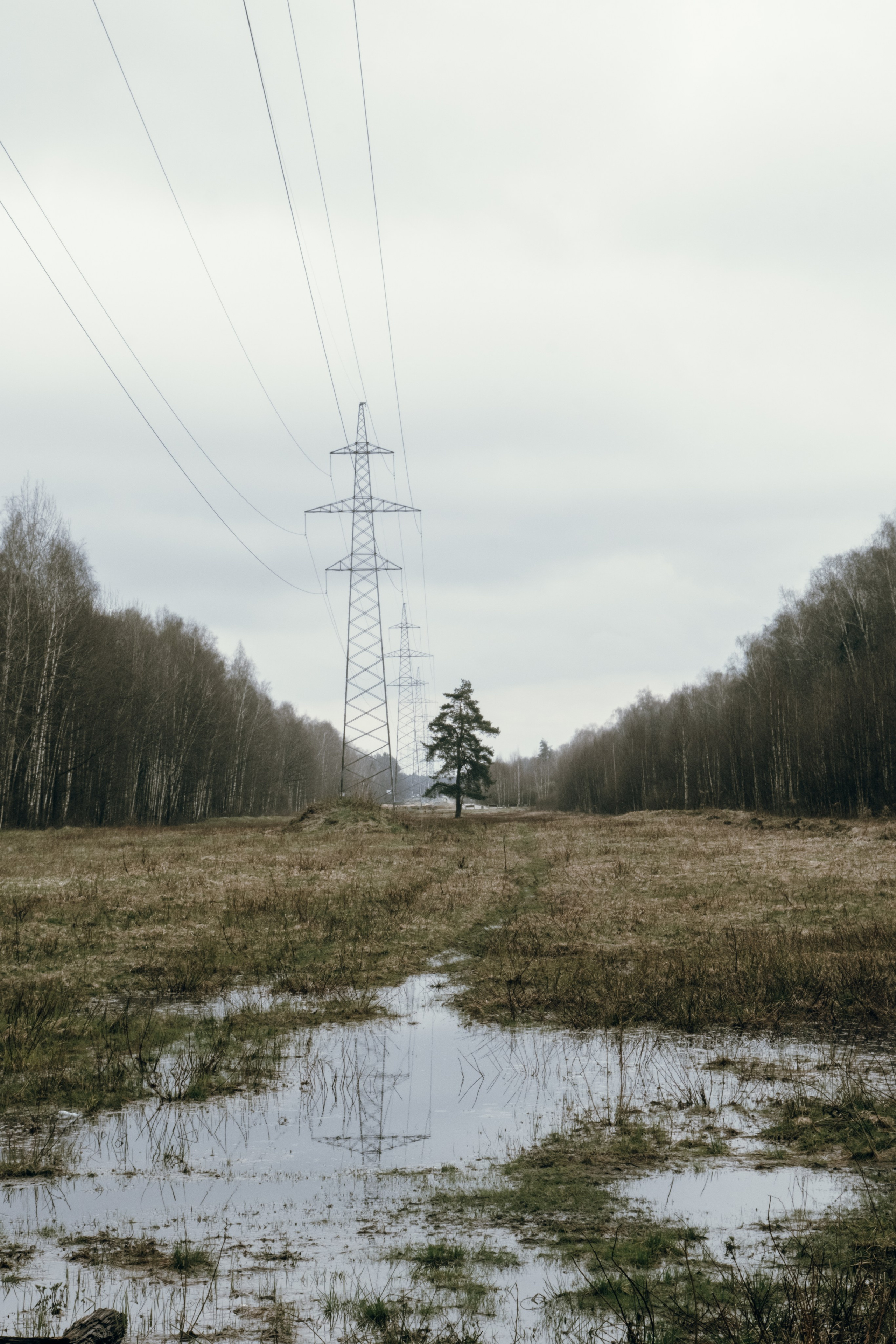 Стрит. Molotov Photographer