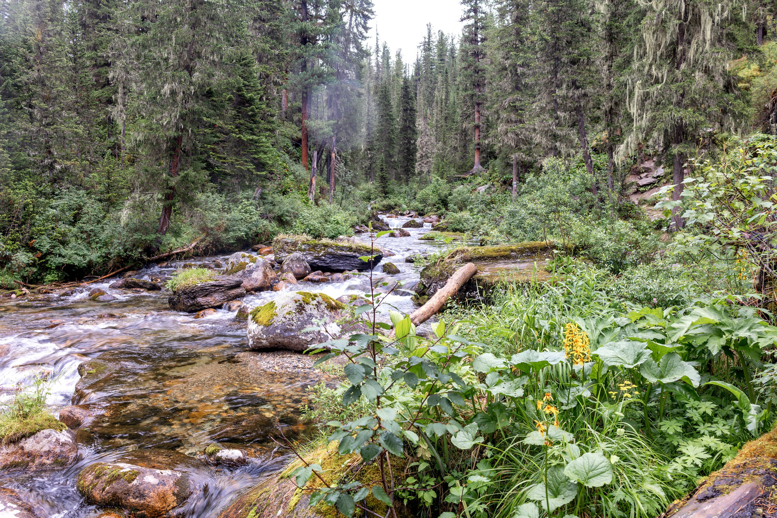 Ергаки. Семейный и детский фотограф в Красноярске, Дивногорцева Светлана
