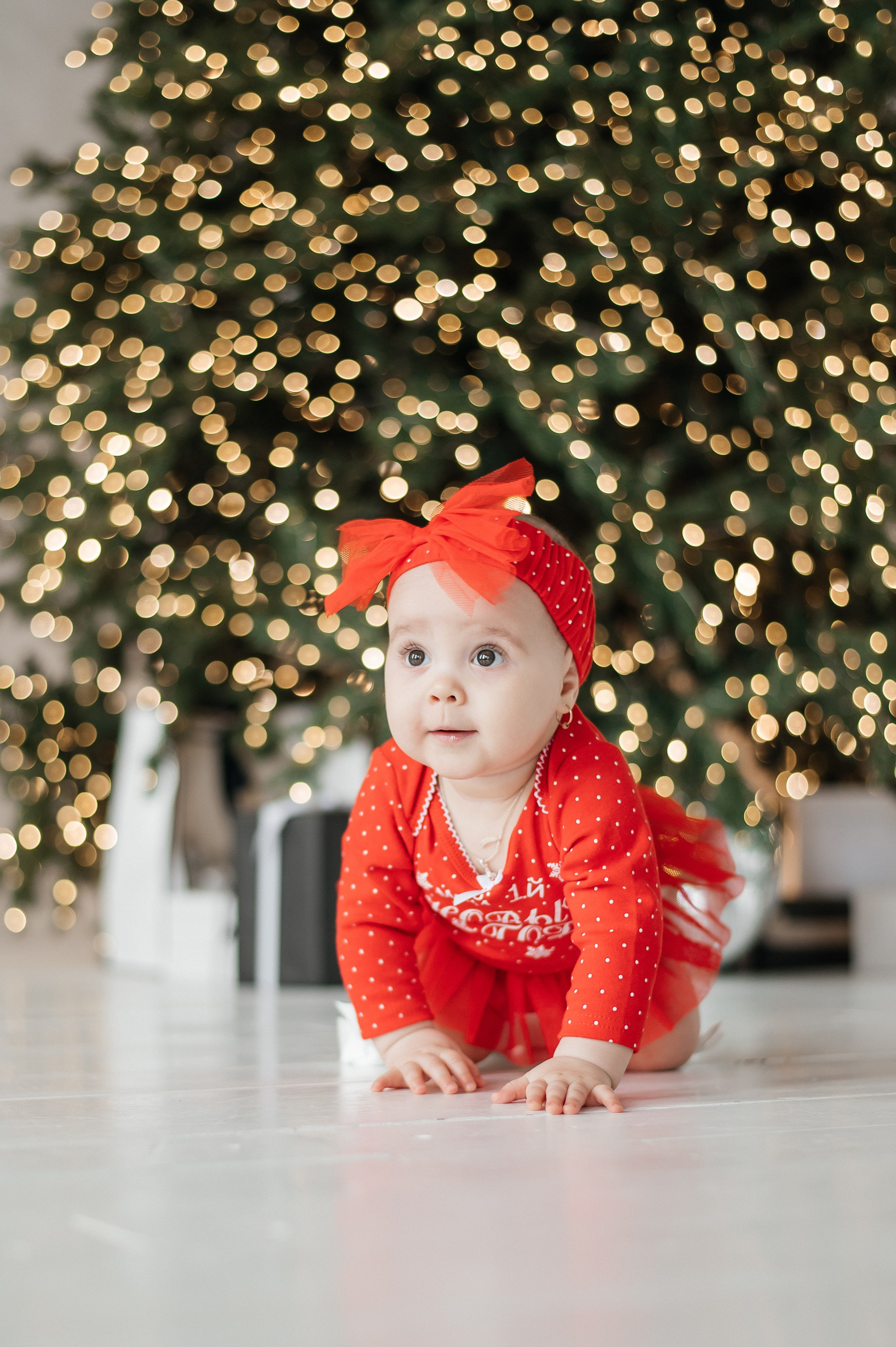 Семья. Свадебный и семейный фотограф в Красноярске Виктория Тимонина