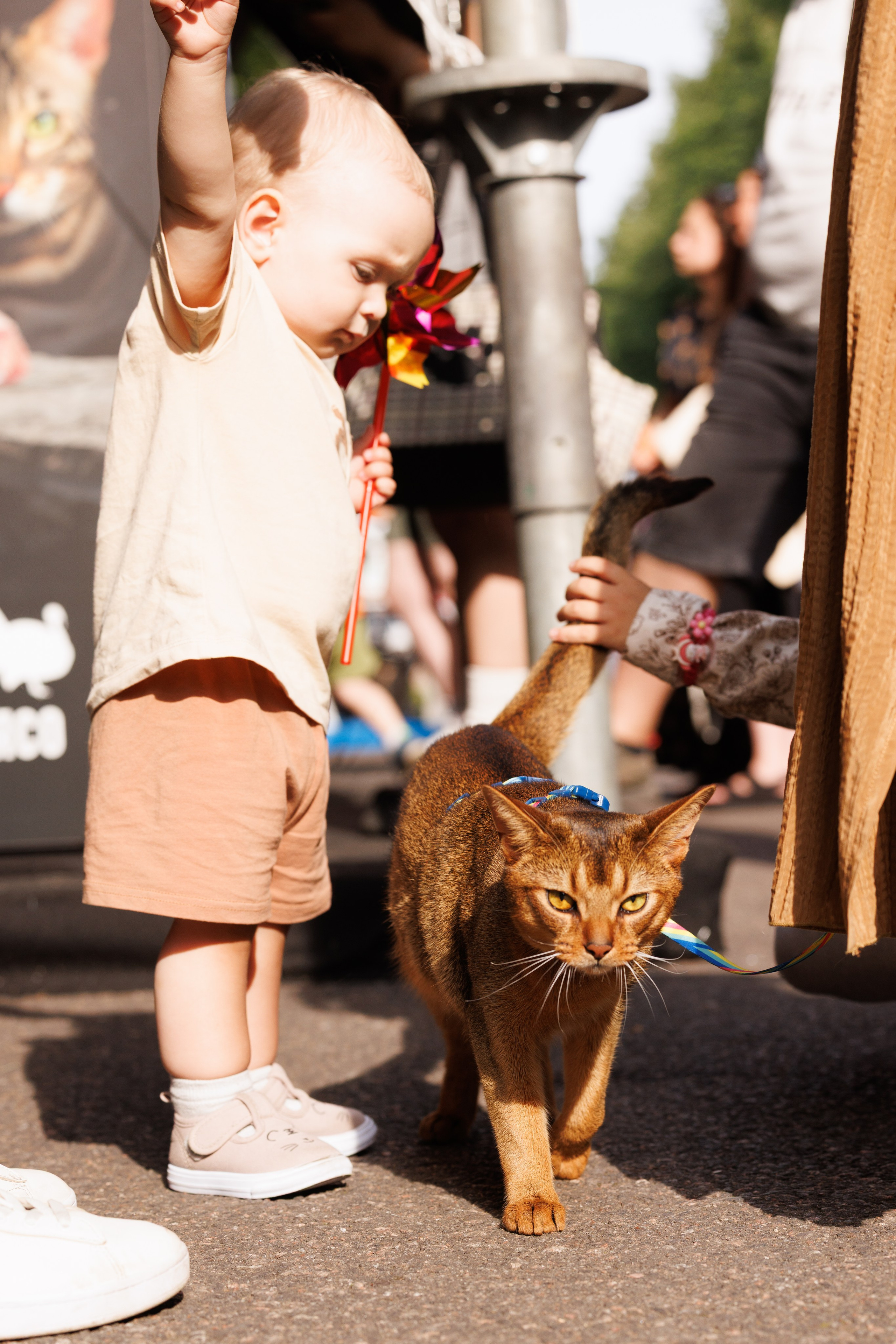 PetShopDays2026. Фотограф Александр Заломаев