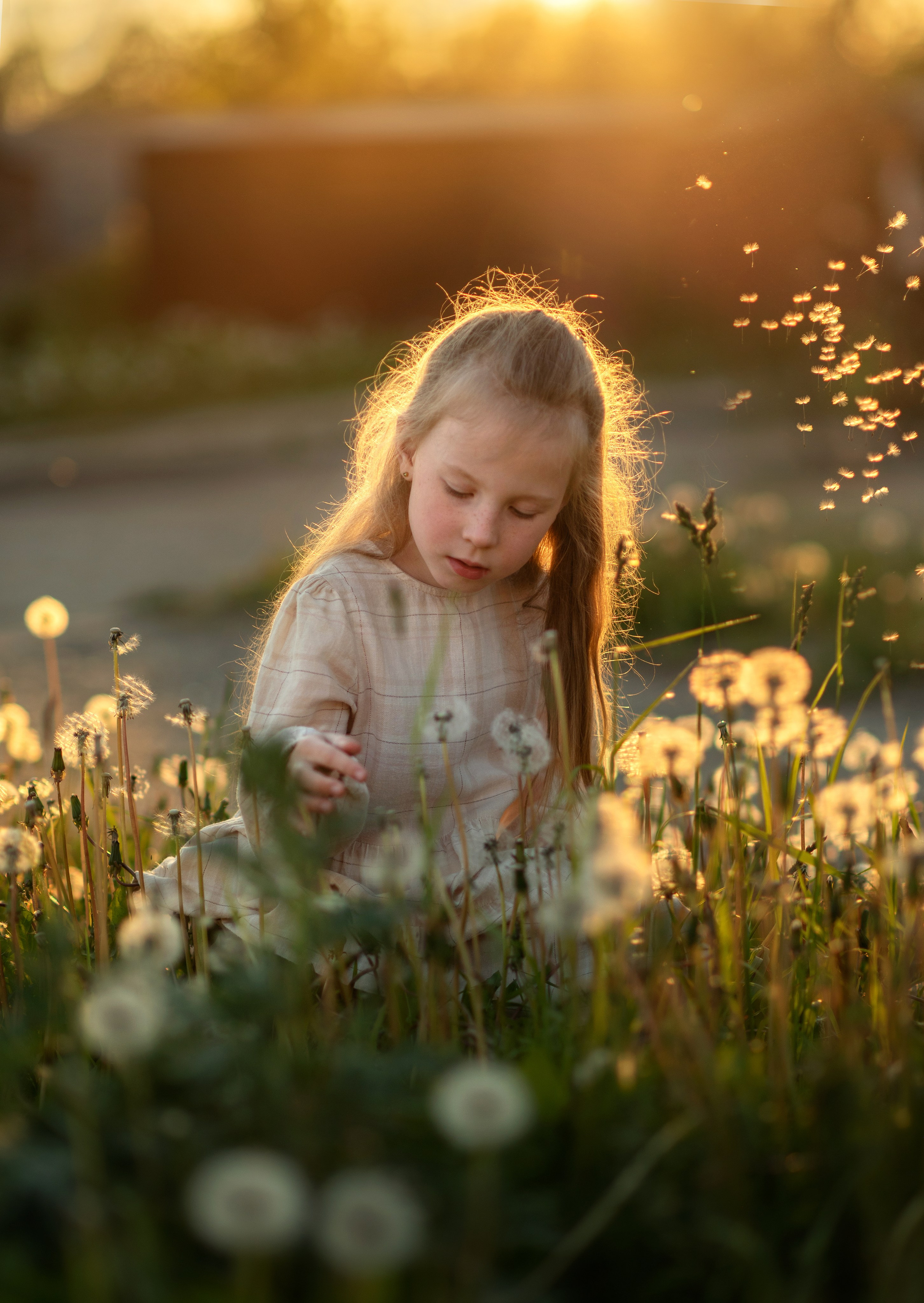 Детская летняя фотосессия в Сыктывкаре детский фотограф лето Сыктывкар. Фотограф новорождённых детский фотограф Сыктывкар Наталья Линдт