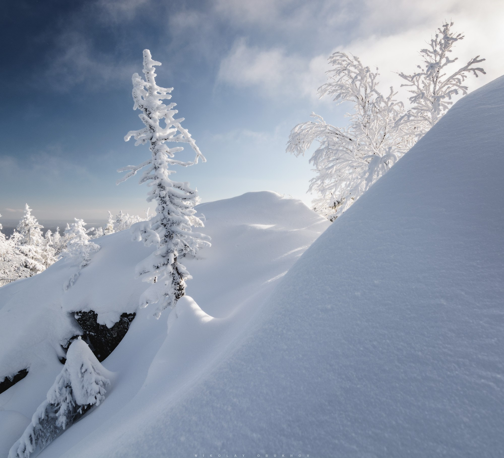 Темный зимний лес под Нижним Тагилом хранит спокойствие и тишину морозного дня.
