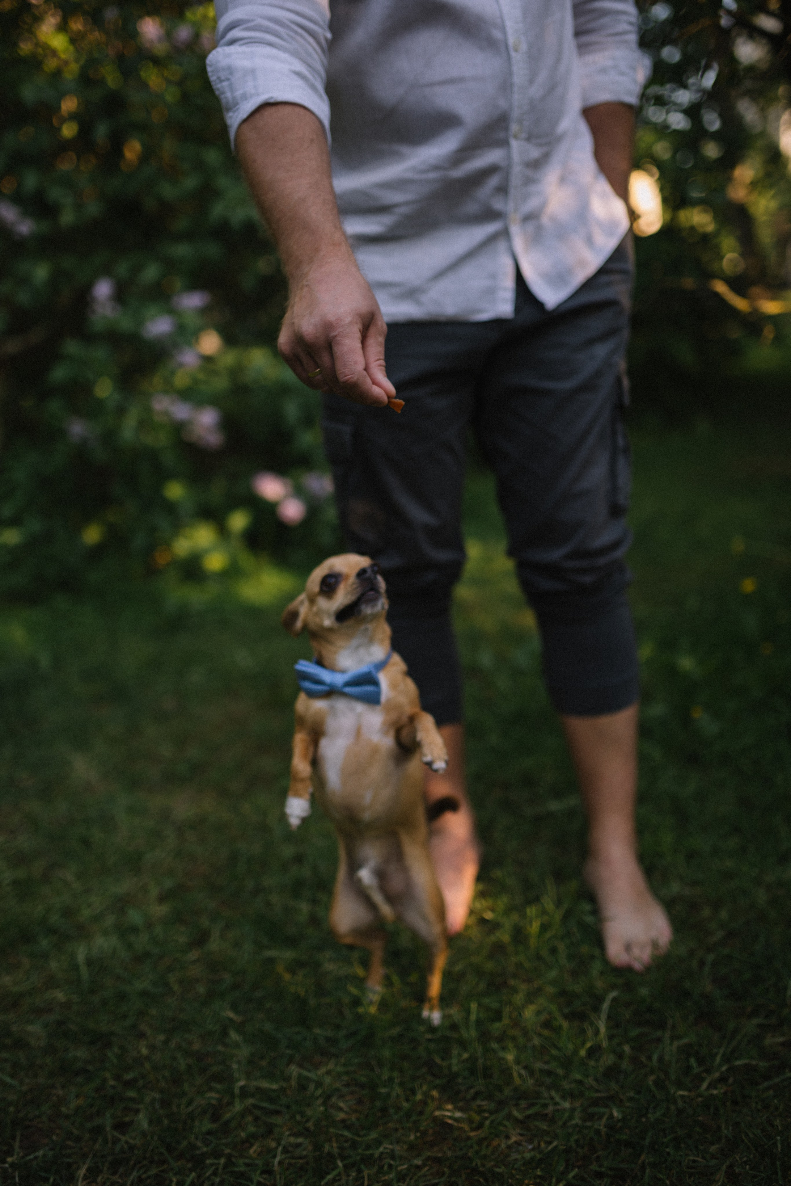 Беременная фотосессия. Семейный фотограф в Москве и Люберцах Юлия Гуськова