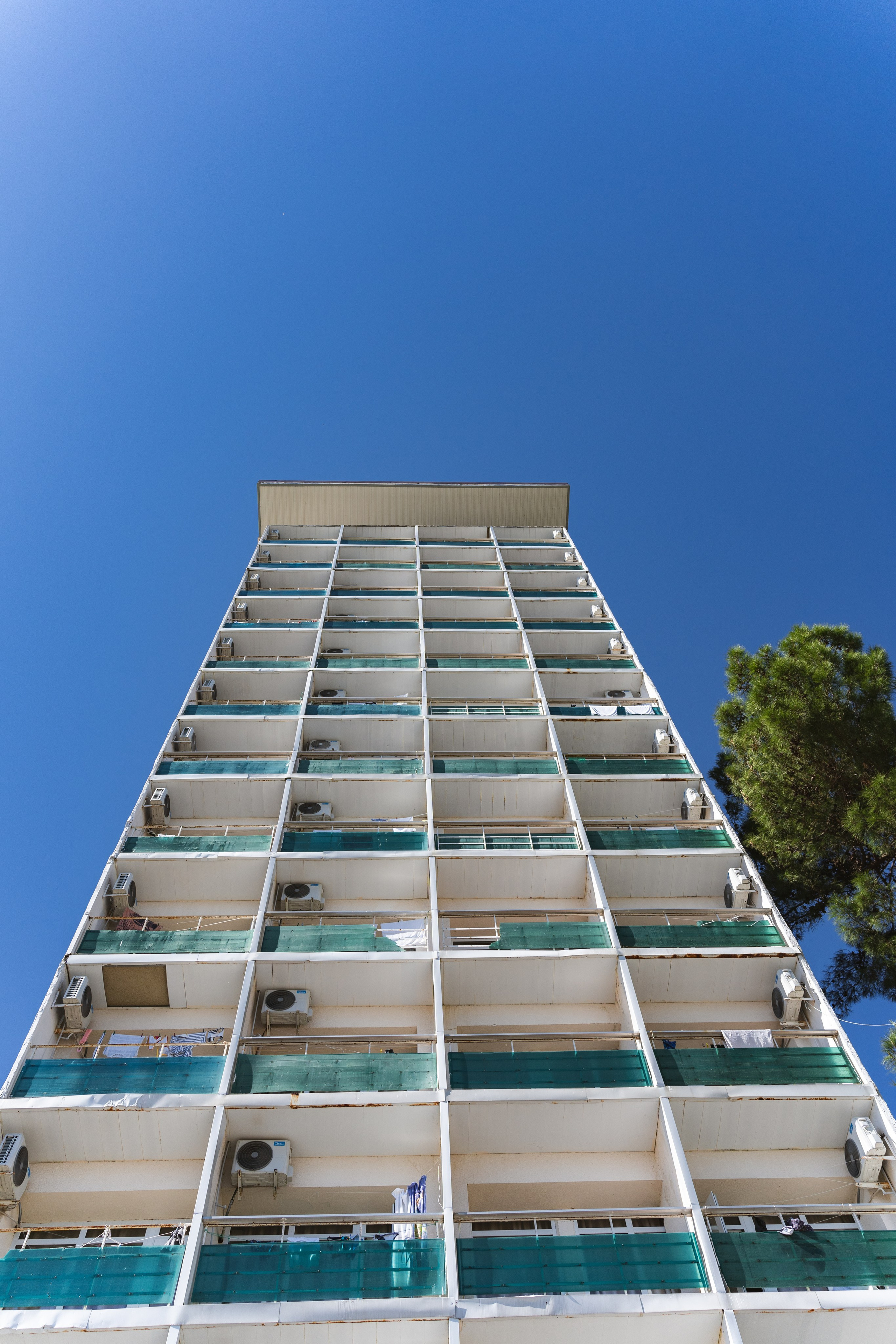 Фотографии из поездки в Абхазию. Предметный фотограф Санкт-Петербург