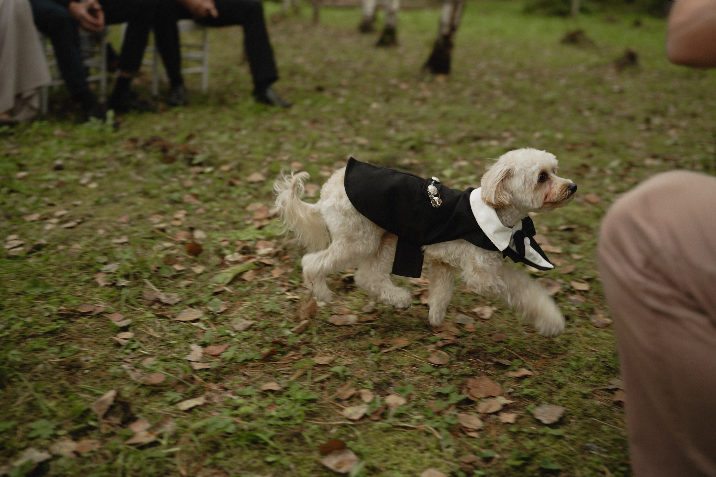 Я буду всегда с тобой…. Свадебный и семейный фотограф в Абакане Василевский Алексей