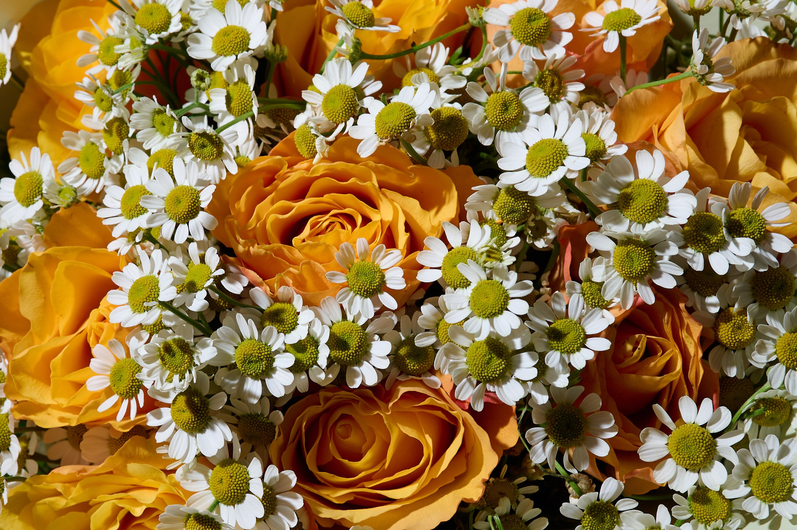 Частное мероприятие. Вадим Зюков Фотограф Москва