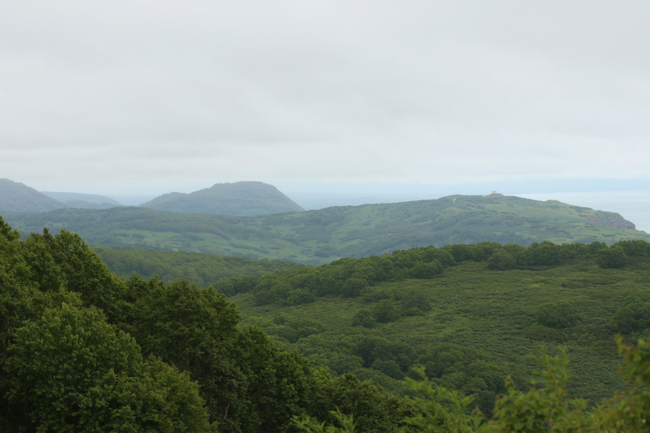 Камчатка и о. Парамушир. Июль 2024. Путешественник-фотограф из Санкт-Петербурга Татьяна Свистулина
