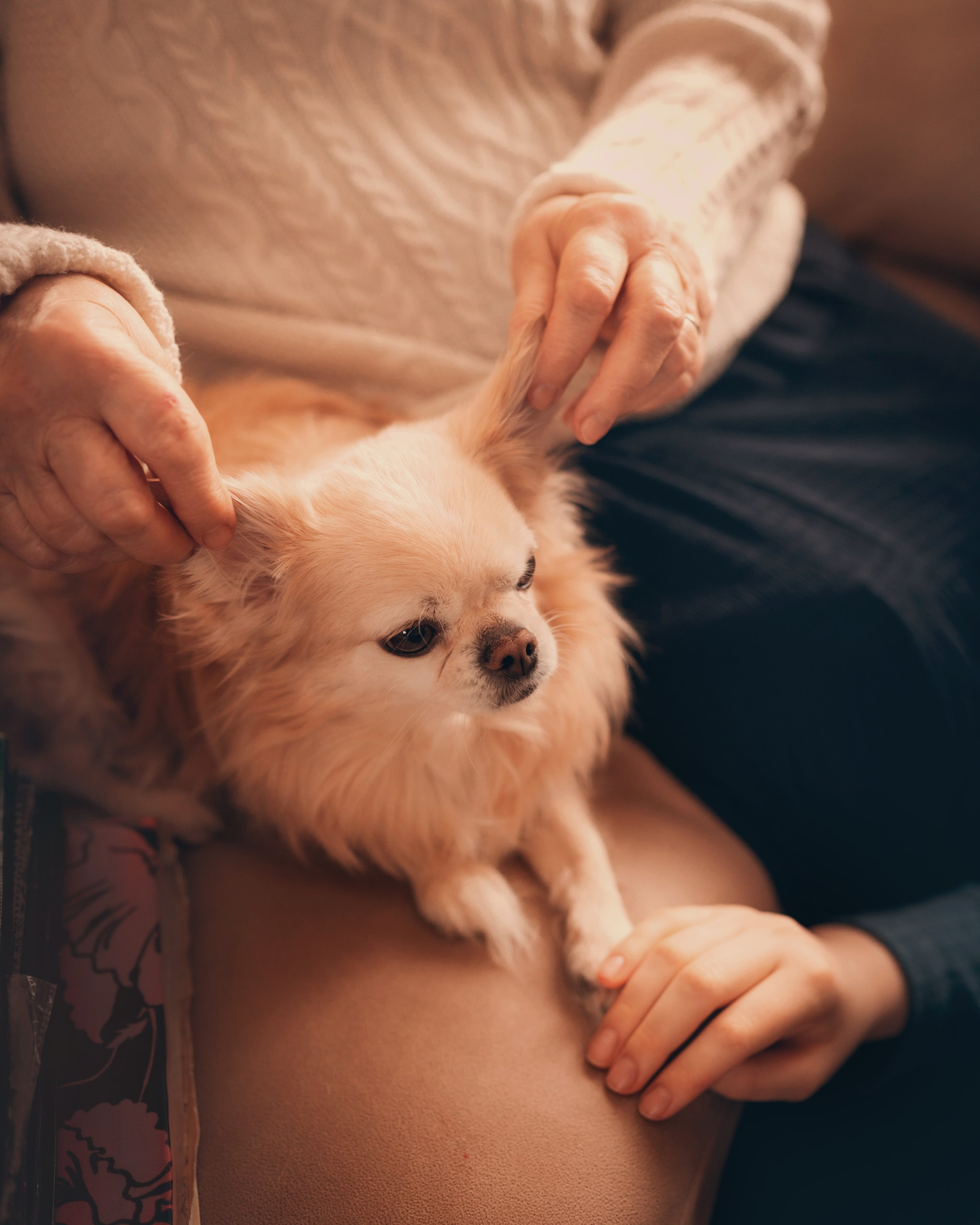 Домашняя фотосессия — бабушка с внучками. Детский и семейный фотограф Елена Михайлова в Москве