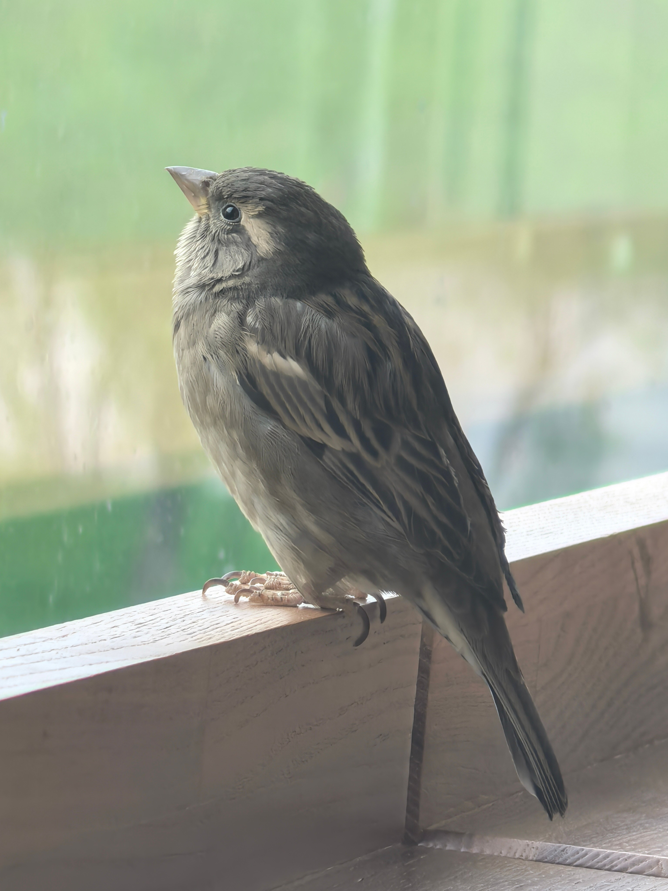 Чудесная природа. Школьные выпускные альбомы в Москве Марина Николаева