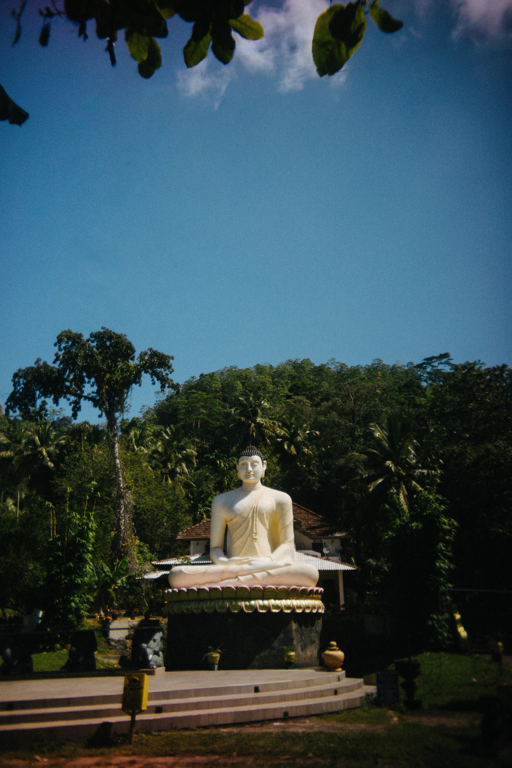 Шри + Бангкок. Фотограф Тбилиси Саша Мороз