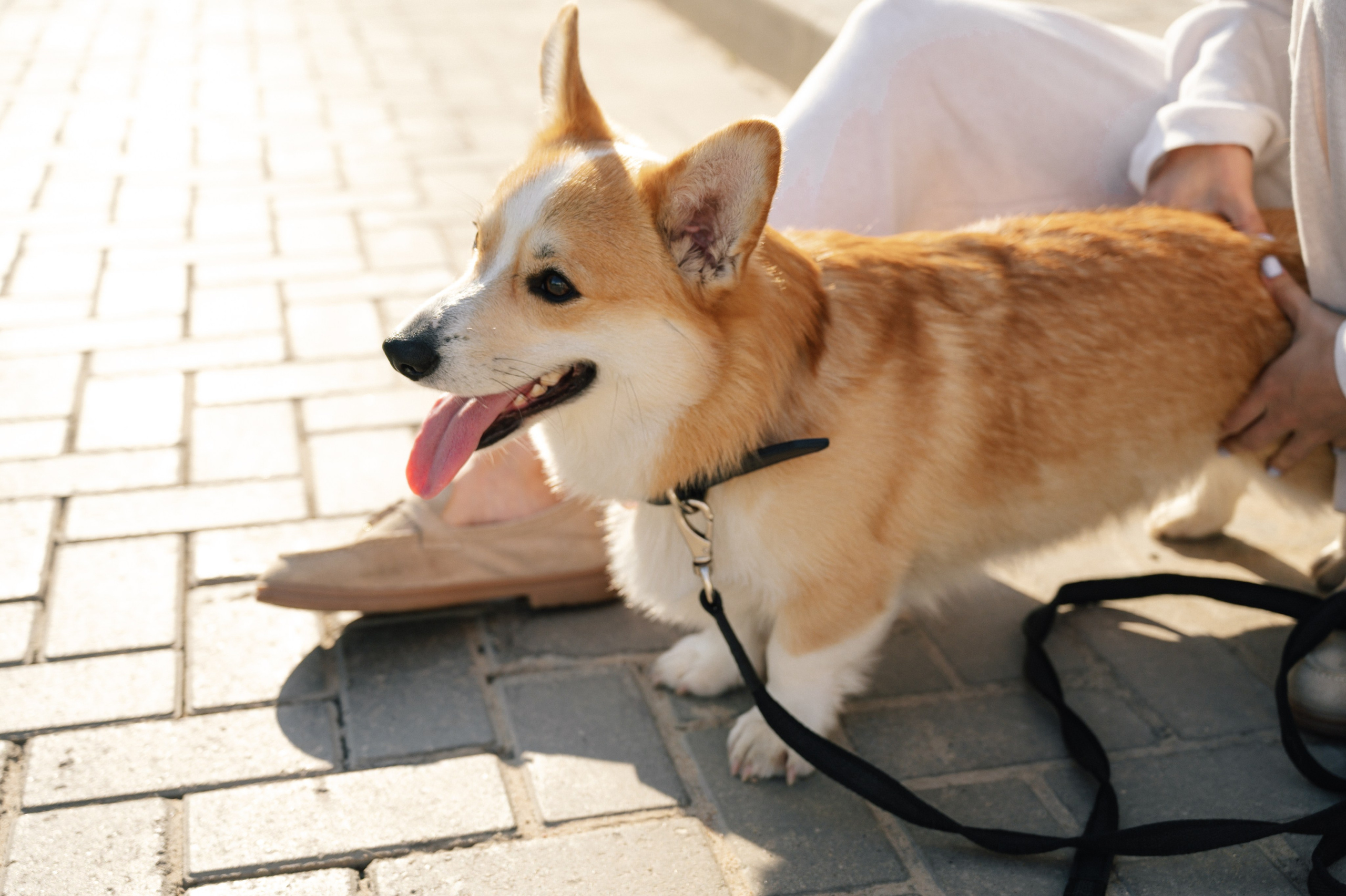 Love story. Профессиональный фотограф Кристина Кирьянова