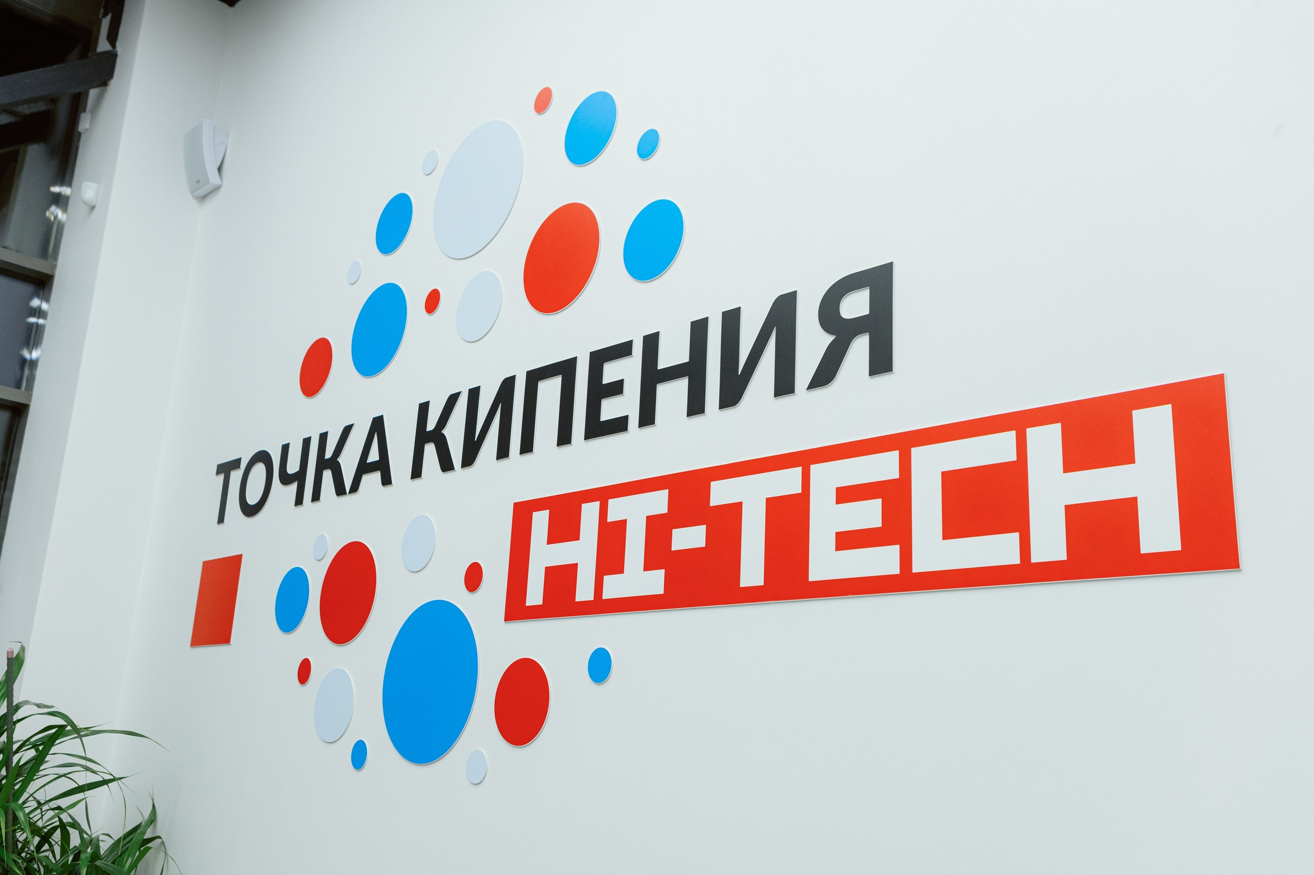 Мой стартап. LEVORIGINAL