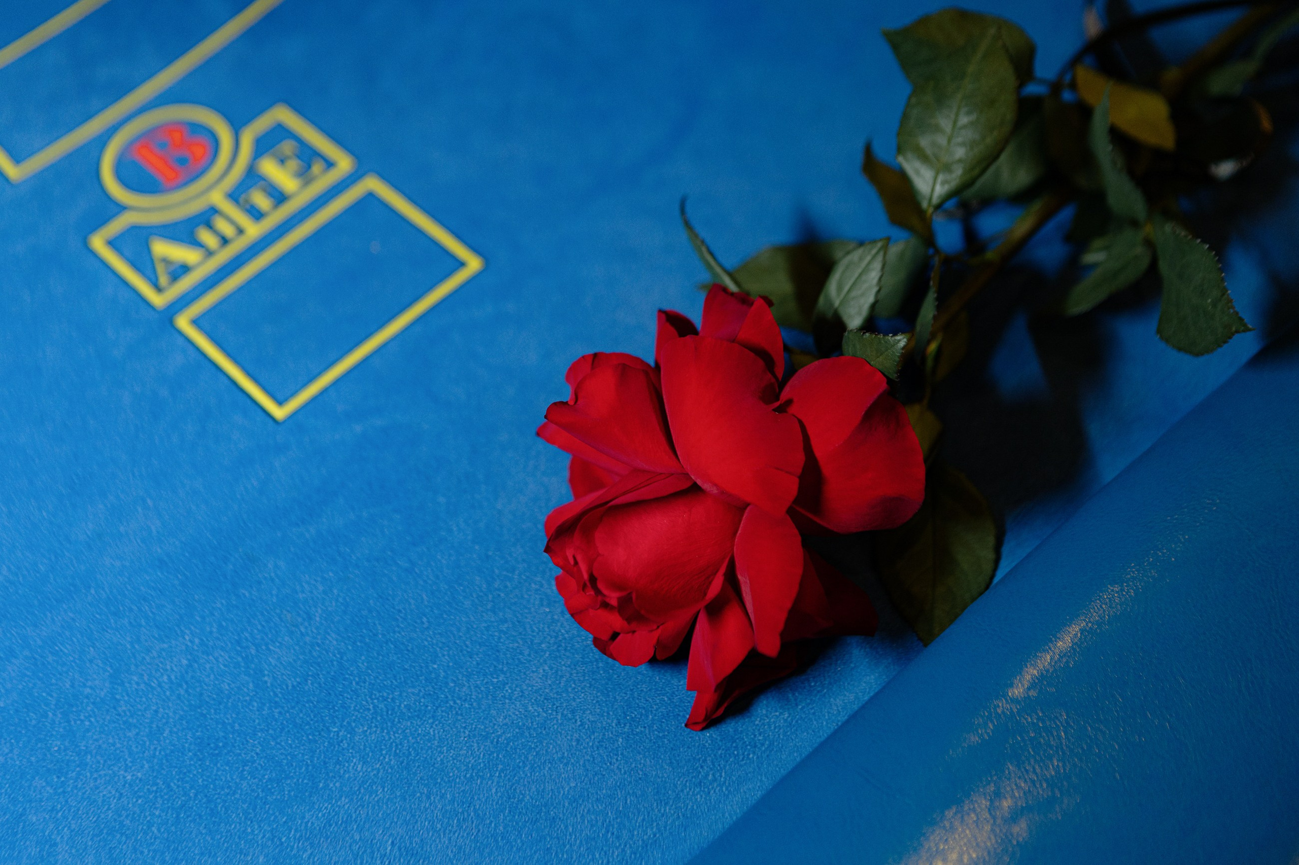 Имплант 52 корпоратив. LEVORIGINAL