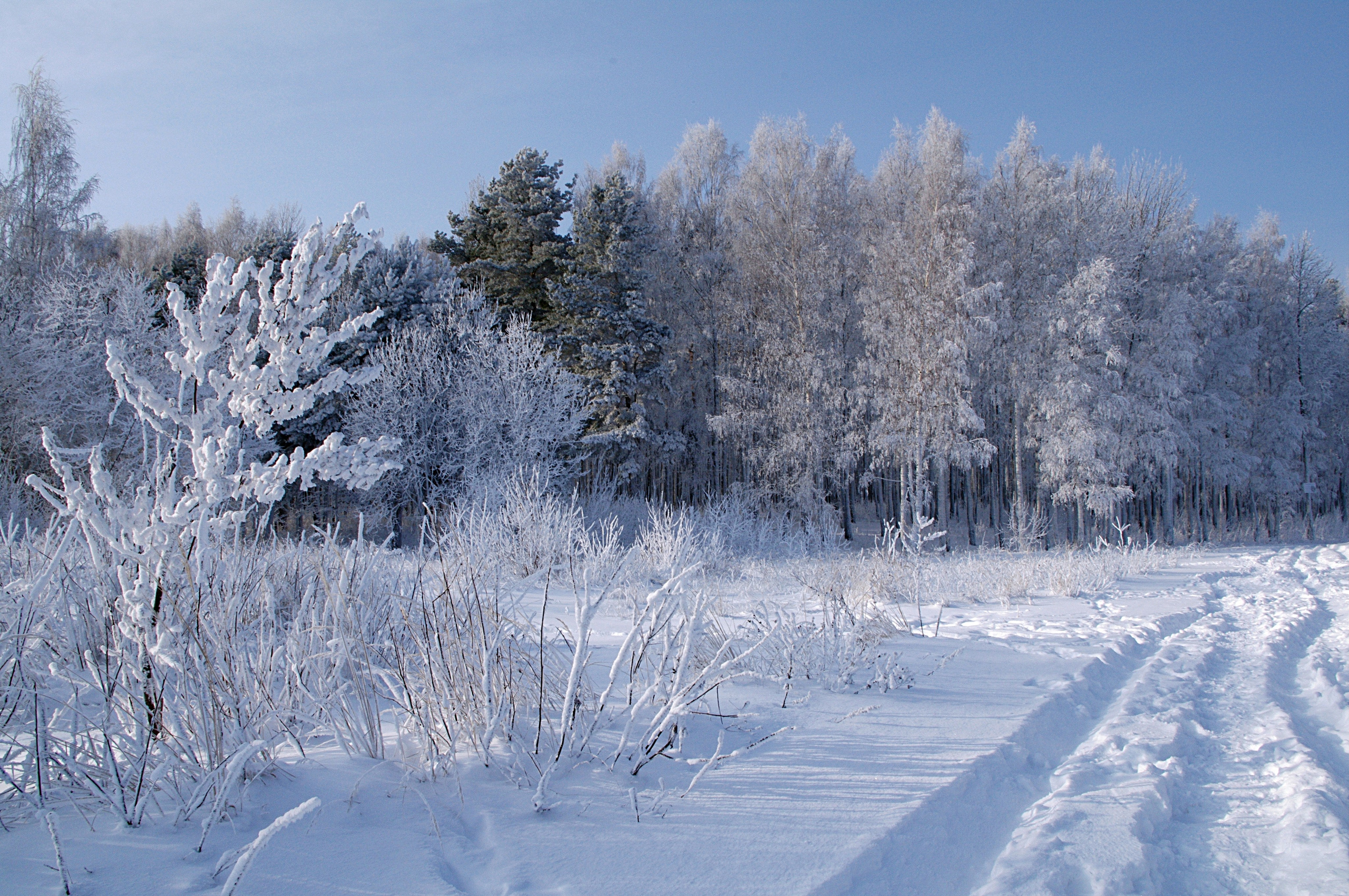 Пейзаж. Семоха Валерий. Фотограф