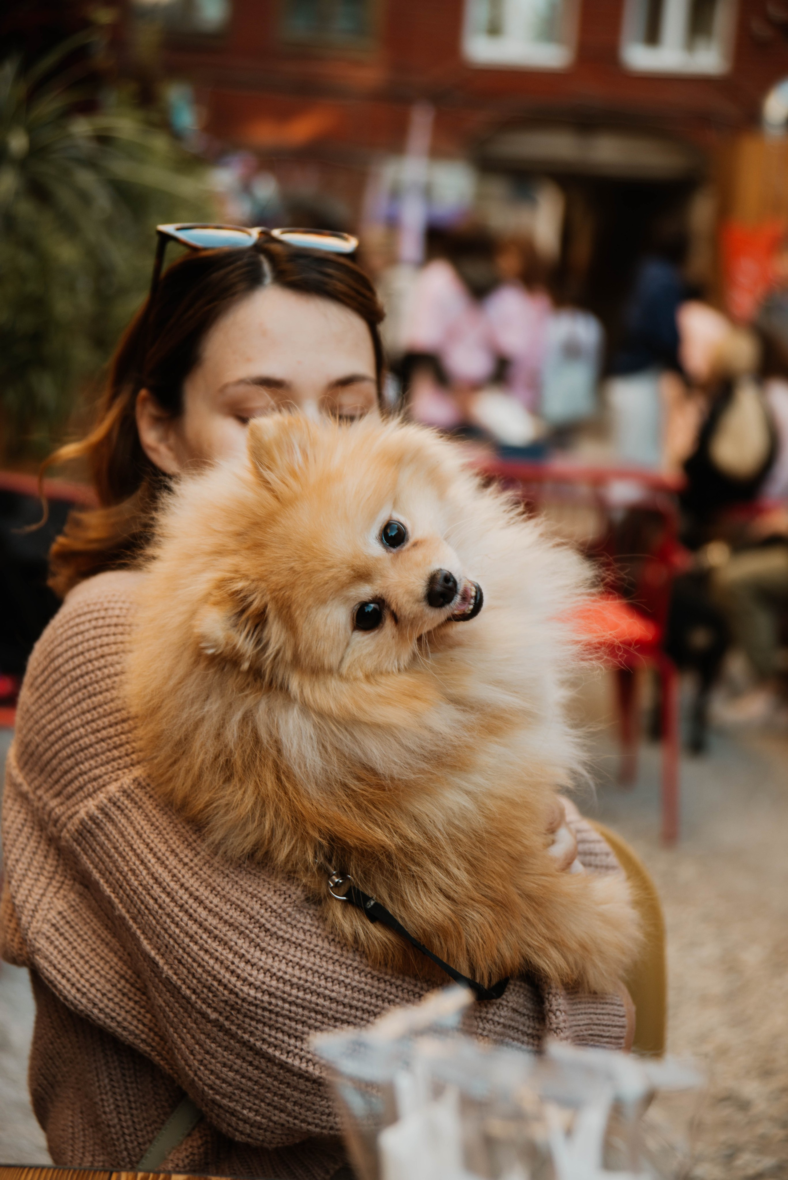 Дог-вечеринка на летнике «Кутёж». Ксения Glossa. Портретный и репортажный фотограф в Самаре