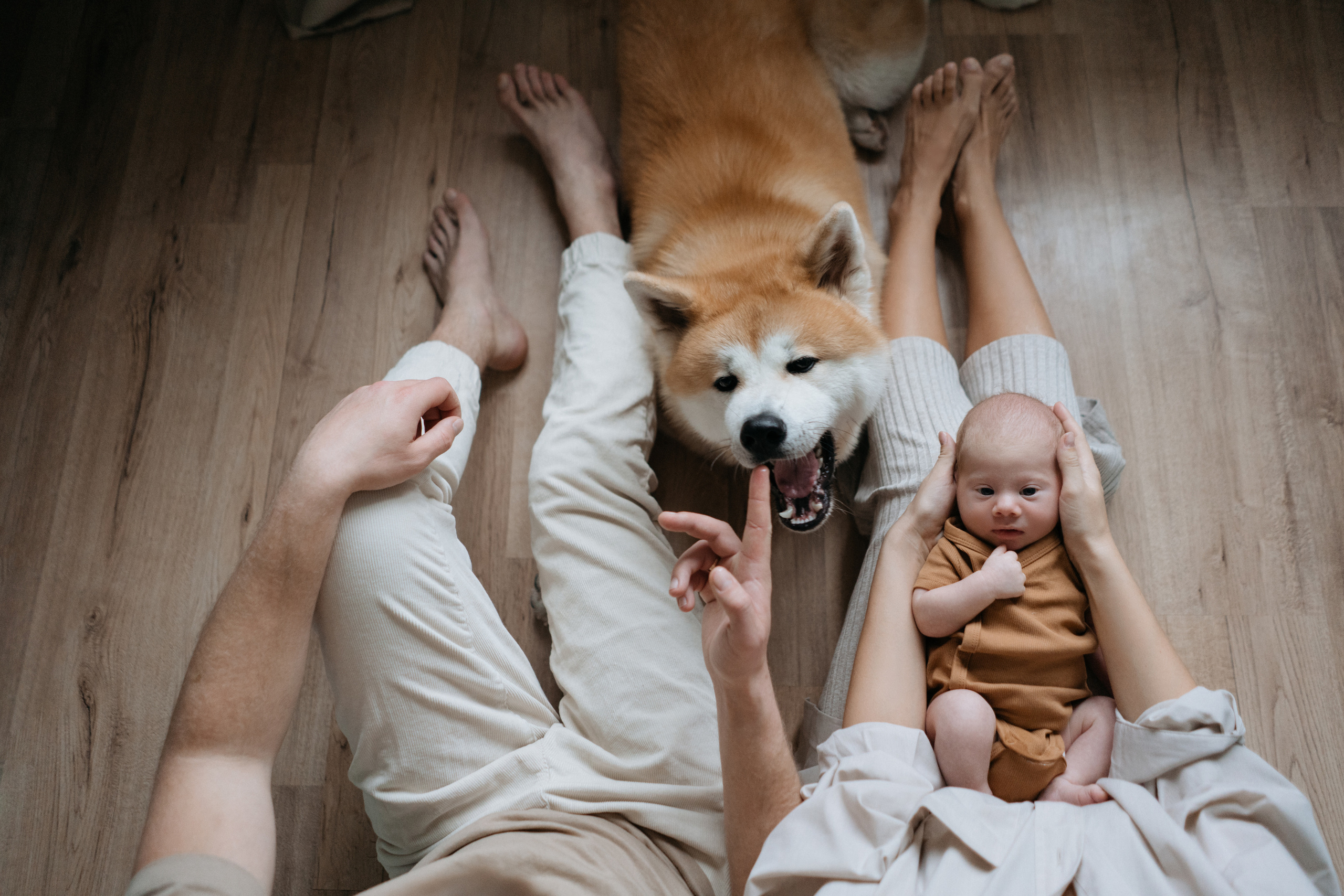 Никита. Свадебный и семейный фотограф в Калининграде Анастасия Гриценко