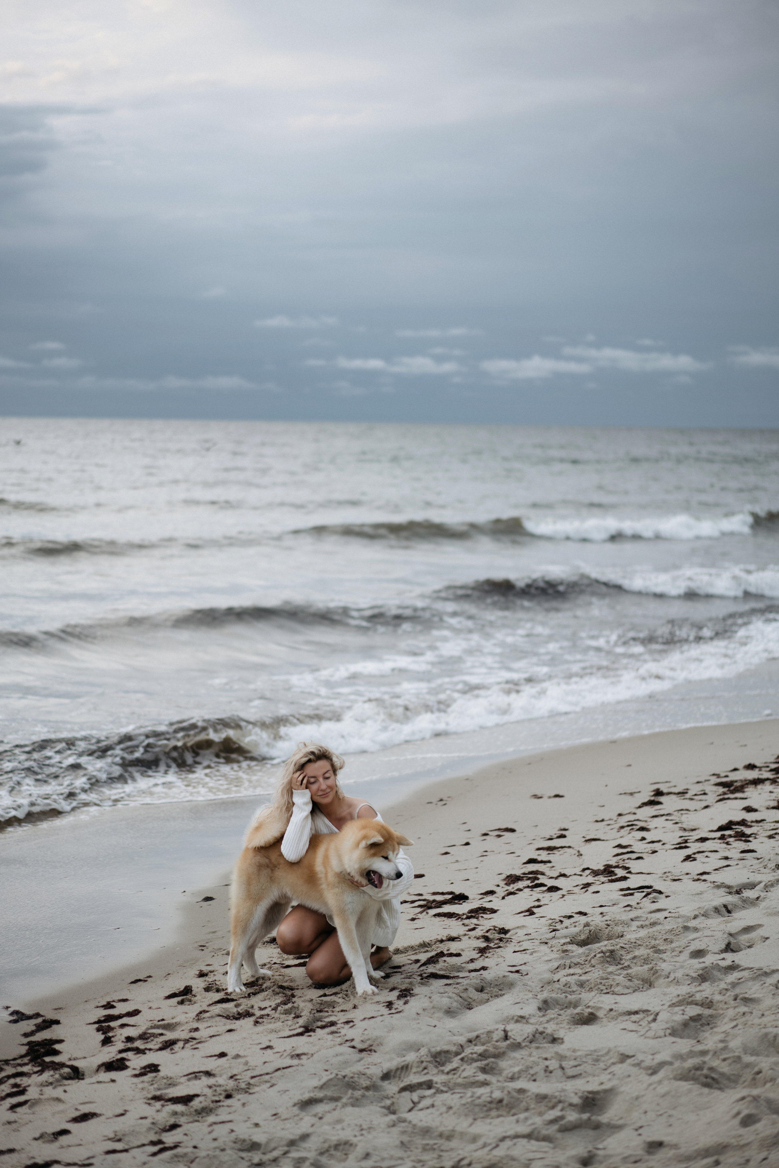 Фотосессия в ожидании, с акитой на берегу моря. Свадебный и семейный фотограф в Калининграде Анастасия Гриценко