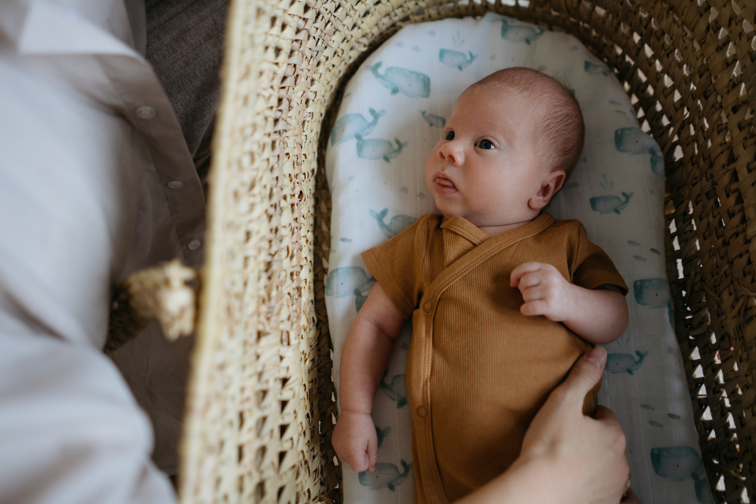 Никита. Свадебный и семейный фотограф в Калининграде Анастасия Гриценко