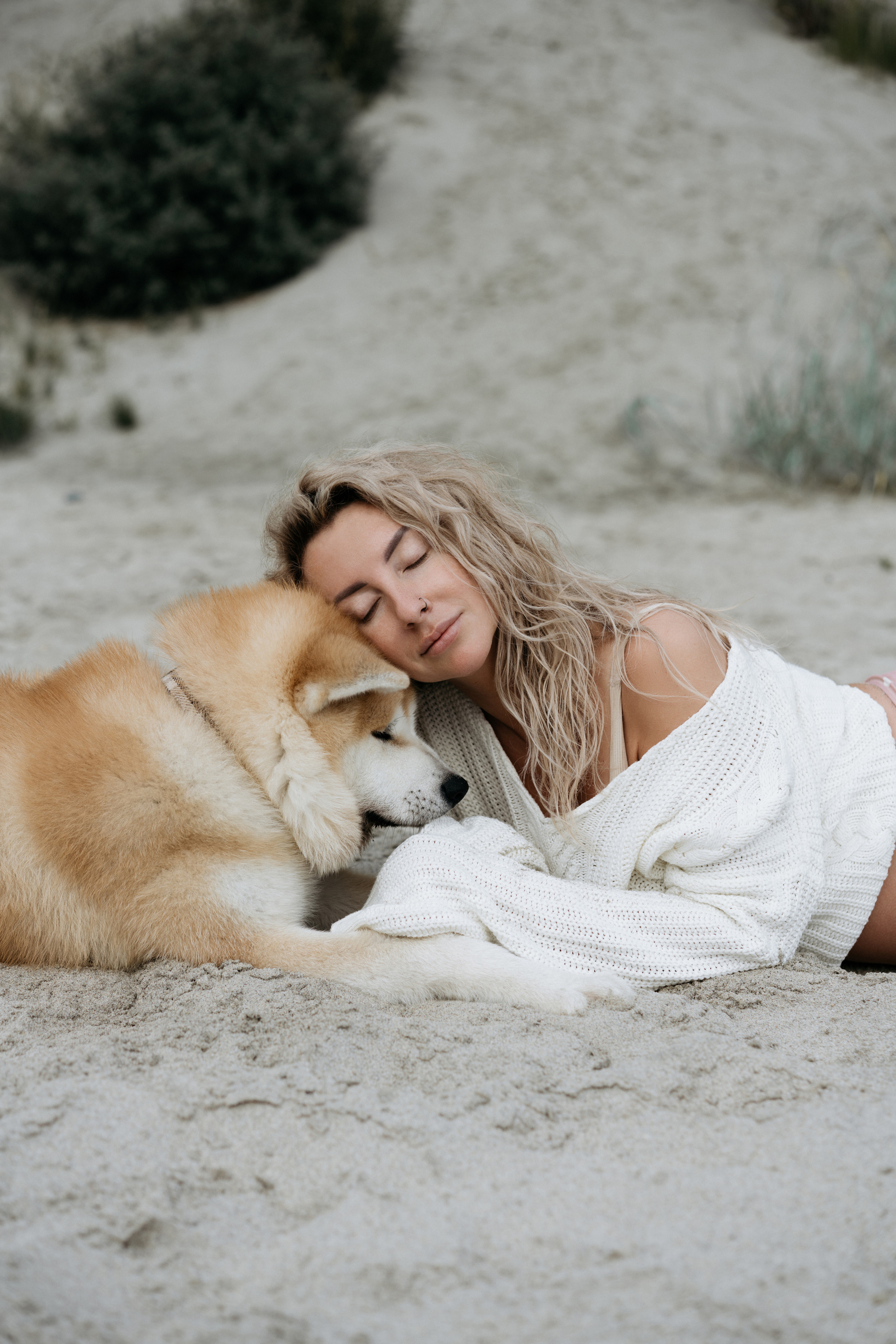 Фотосессия в ожидании, с акитой на берегу моря. Свадебный и семейный фотограф в Калининграде Анастасия Гриценко