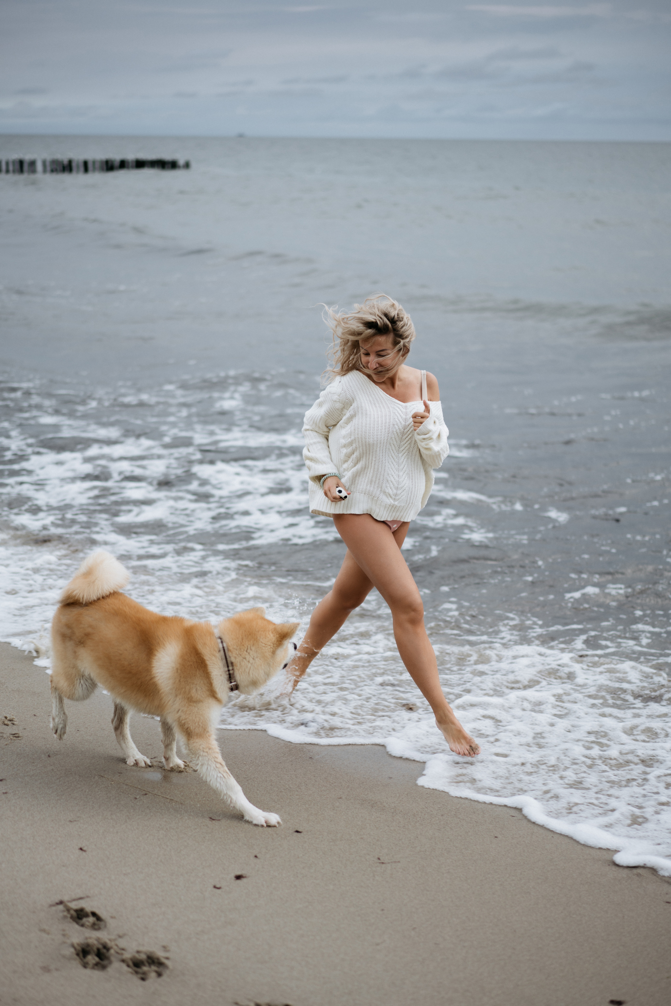Фотосессия в ожидании, с акитой на берегу моря. Свадебный и семейный фотограф в Калининграде Анастасия Гриценко