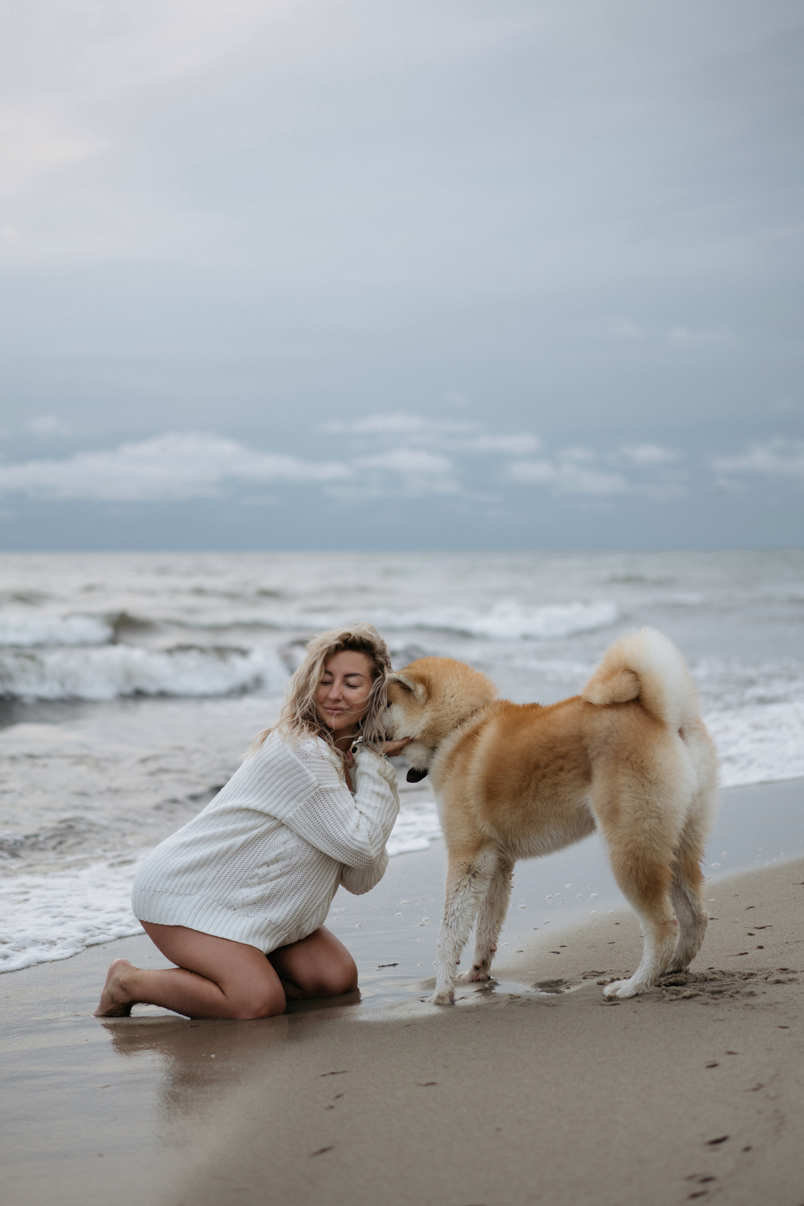 Фотосессия в ожидании, с акитой на берегу моря. Свадебный и семейный фотограф в Калининграде Анастасия Гриценко