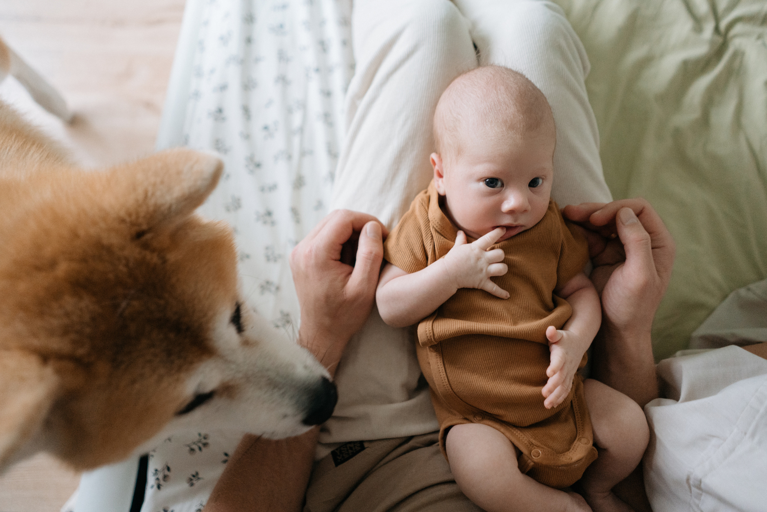Никита. Свадебный и семейный фотограф в Калининграде Анастасия Гриценко