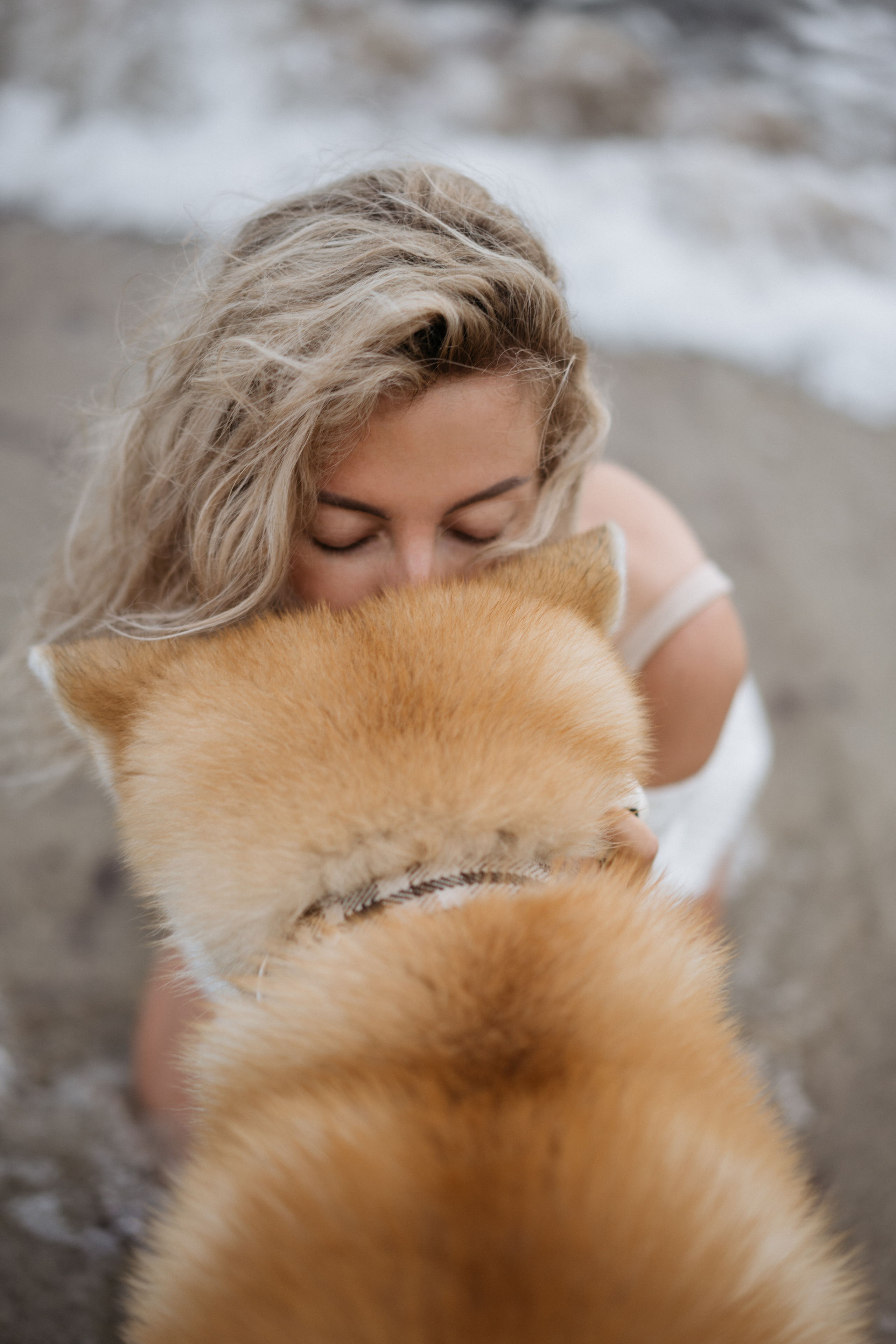 Фотосессия в ожидании, с акитой на берегу моря. Свадебный и семейный фотограф в Калининграде Анастасия Гриценко