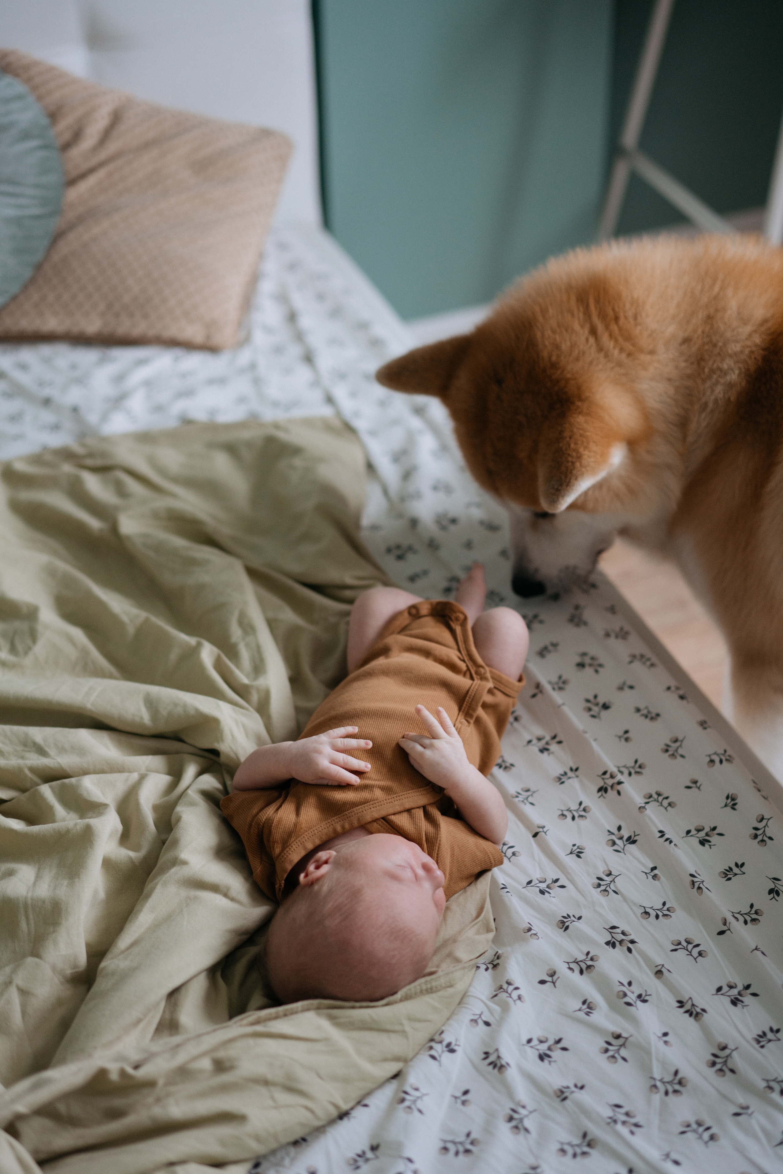 Никита. Свадебный и семейный фотограф в Калининграде Анастасия Гриценко