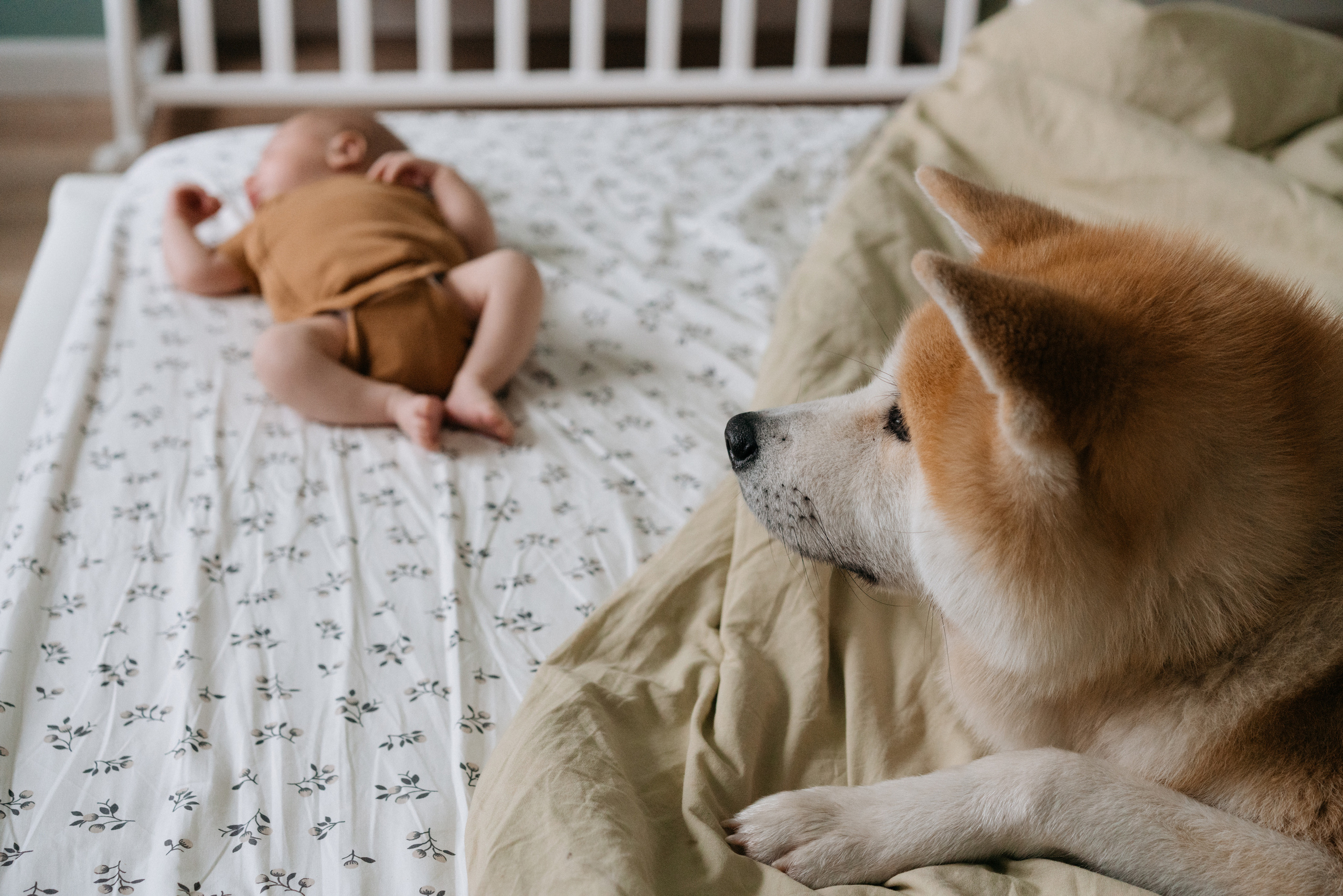 Никита. Свадебный и семейный фотограф в Калининграде Анастасия Гриценко