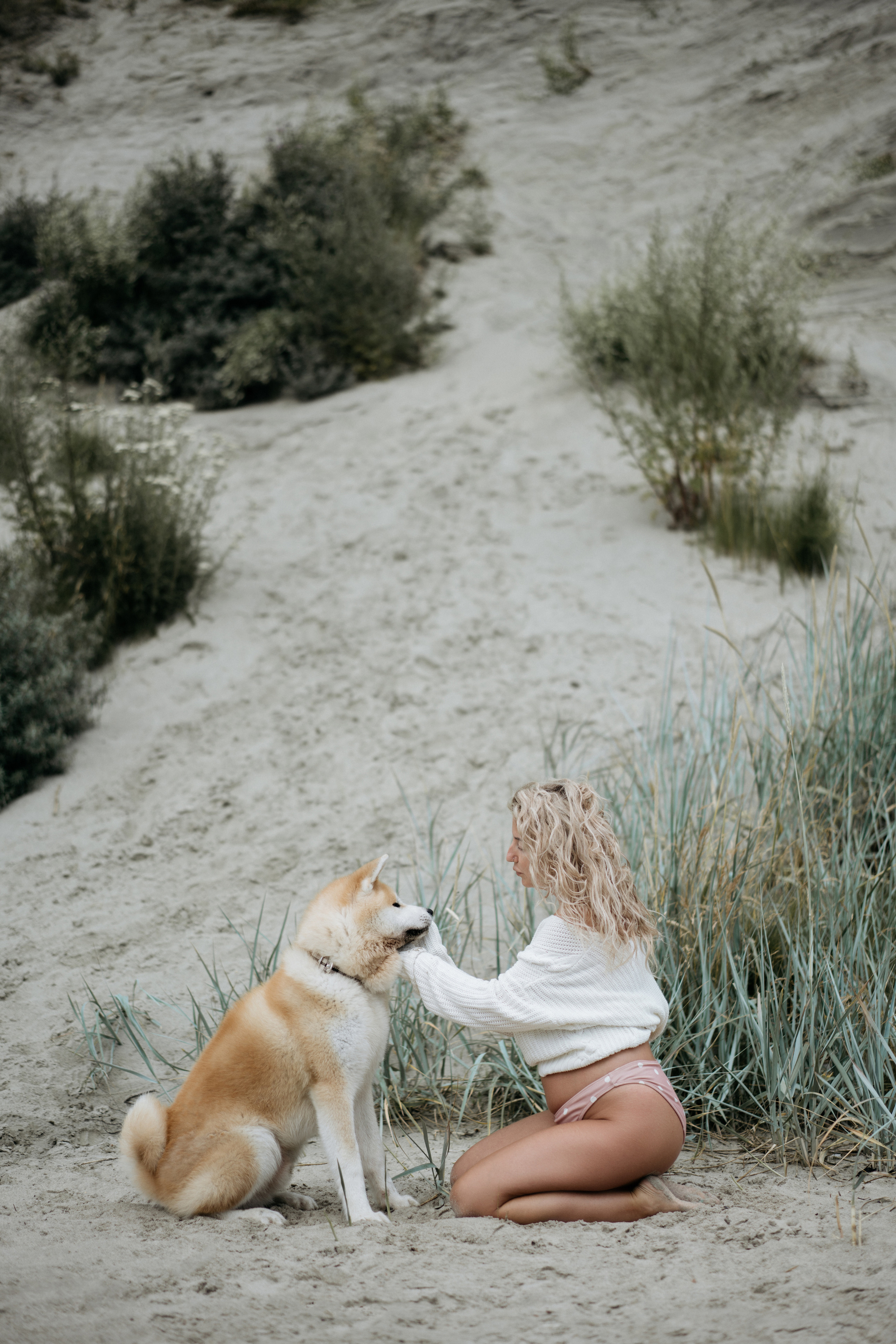 Фотосессия в ожидании, с акитой на берегу моря. Свадебный и семейный фотограф в Калининграде Анастасия Гриценко