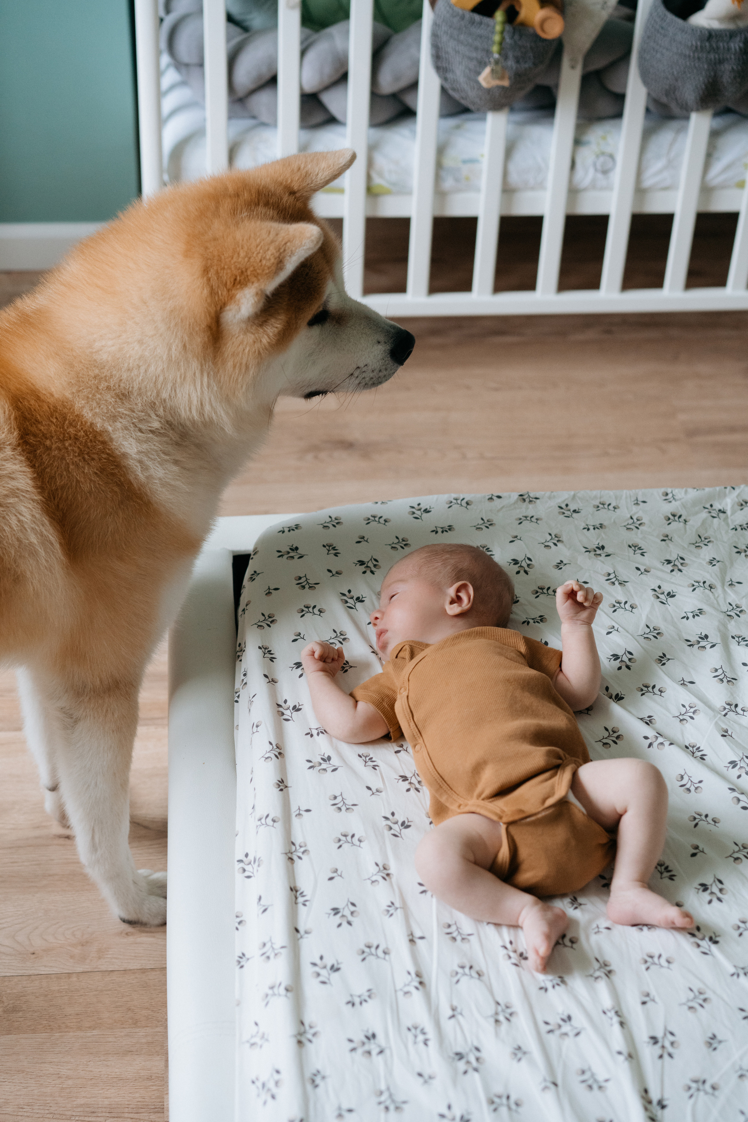 Никита. Свадебный и семейный фотограф в Калининграде Анастасия Гриценко